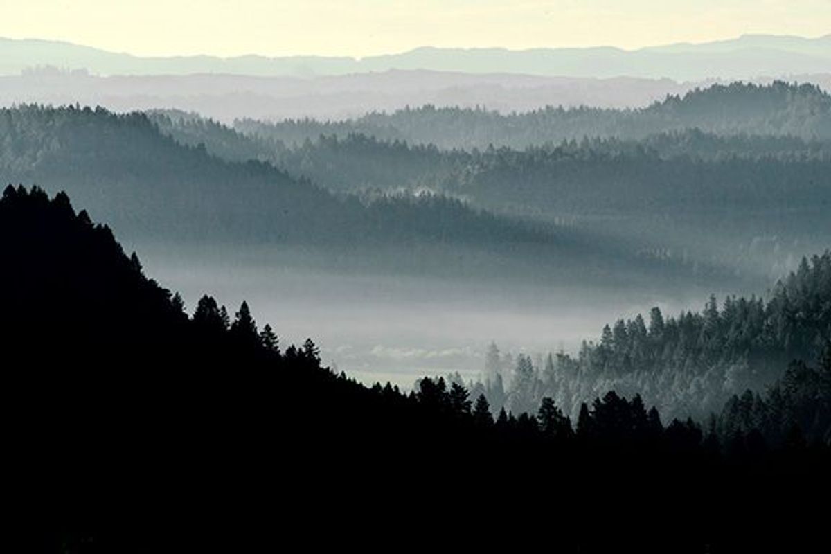 Image of California State Park