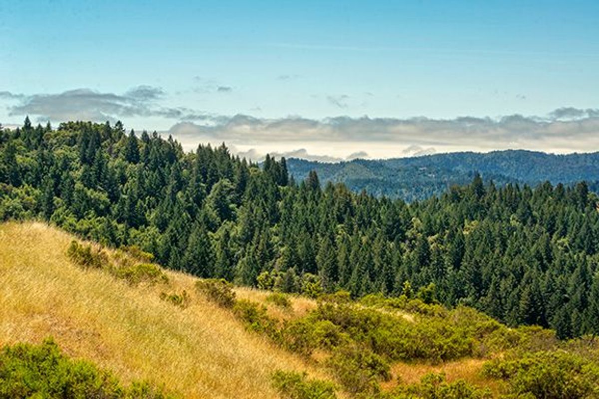 Image of California State Park