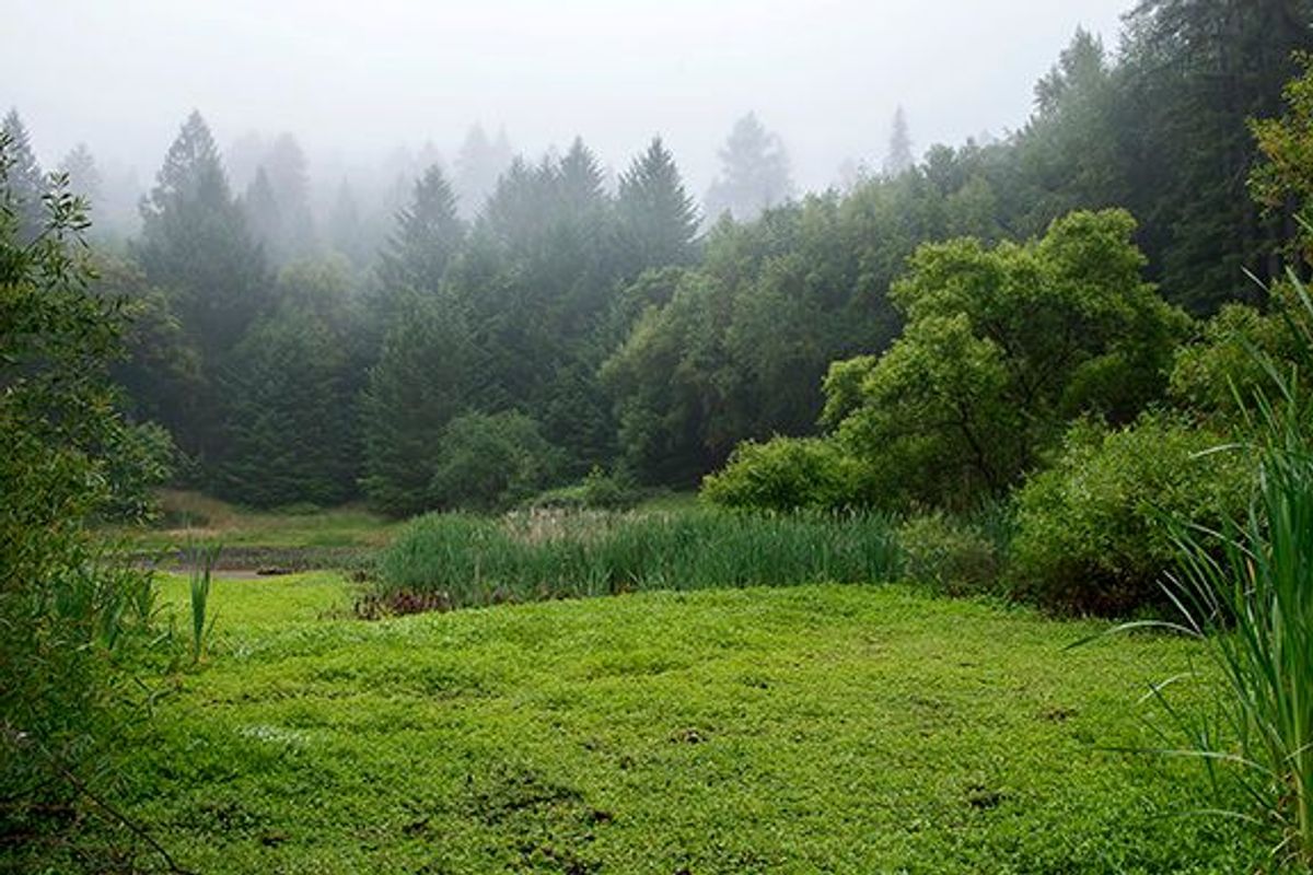 Image of California State Park