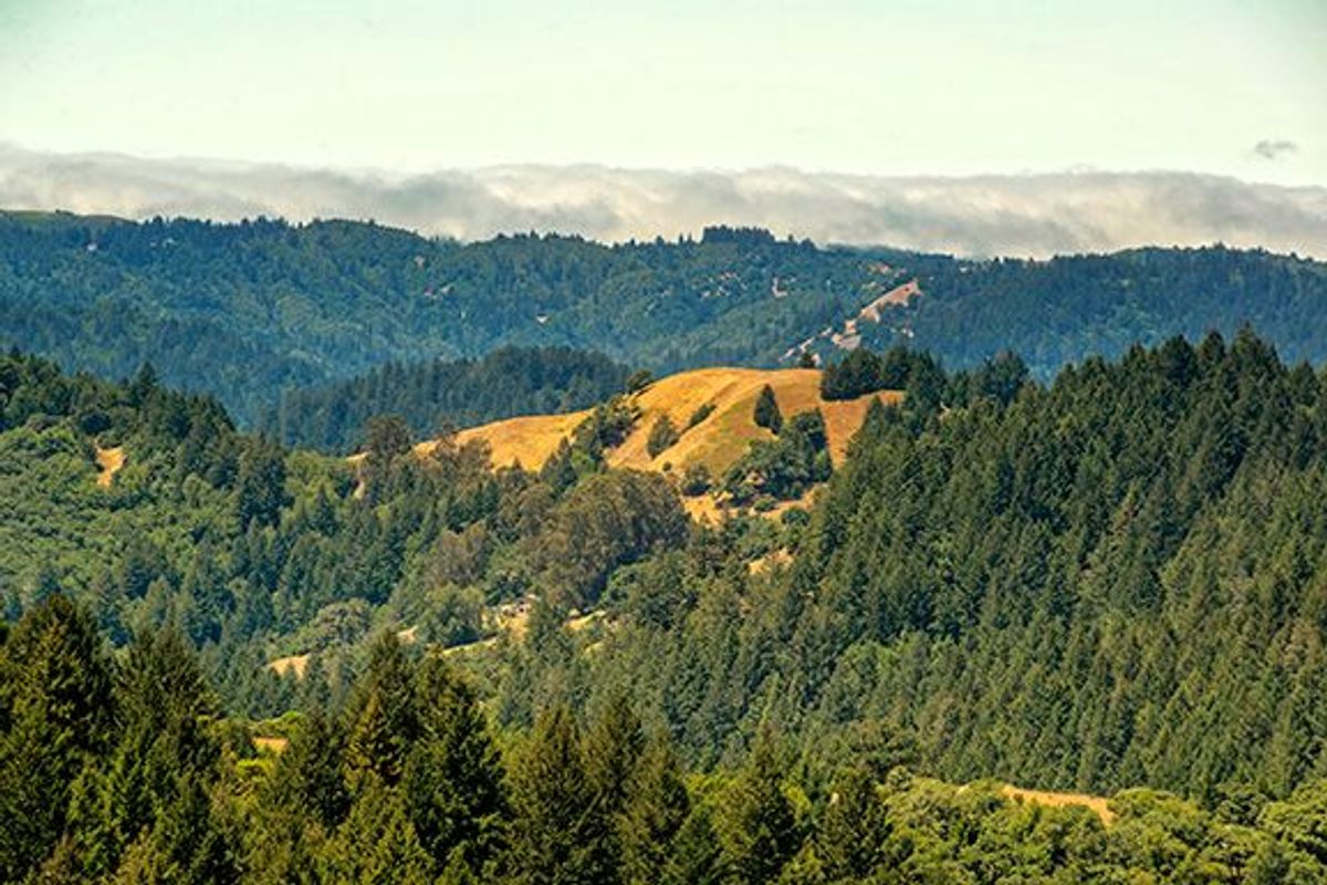 Image of California State Park