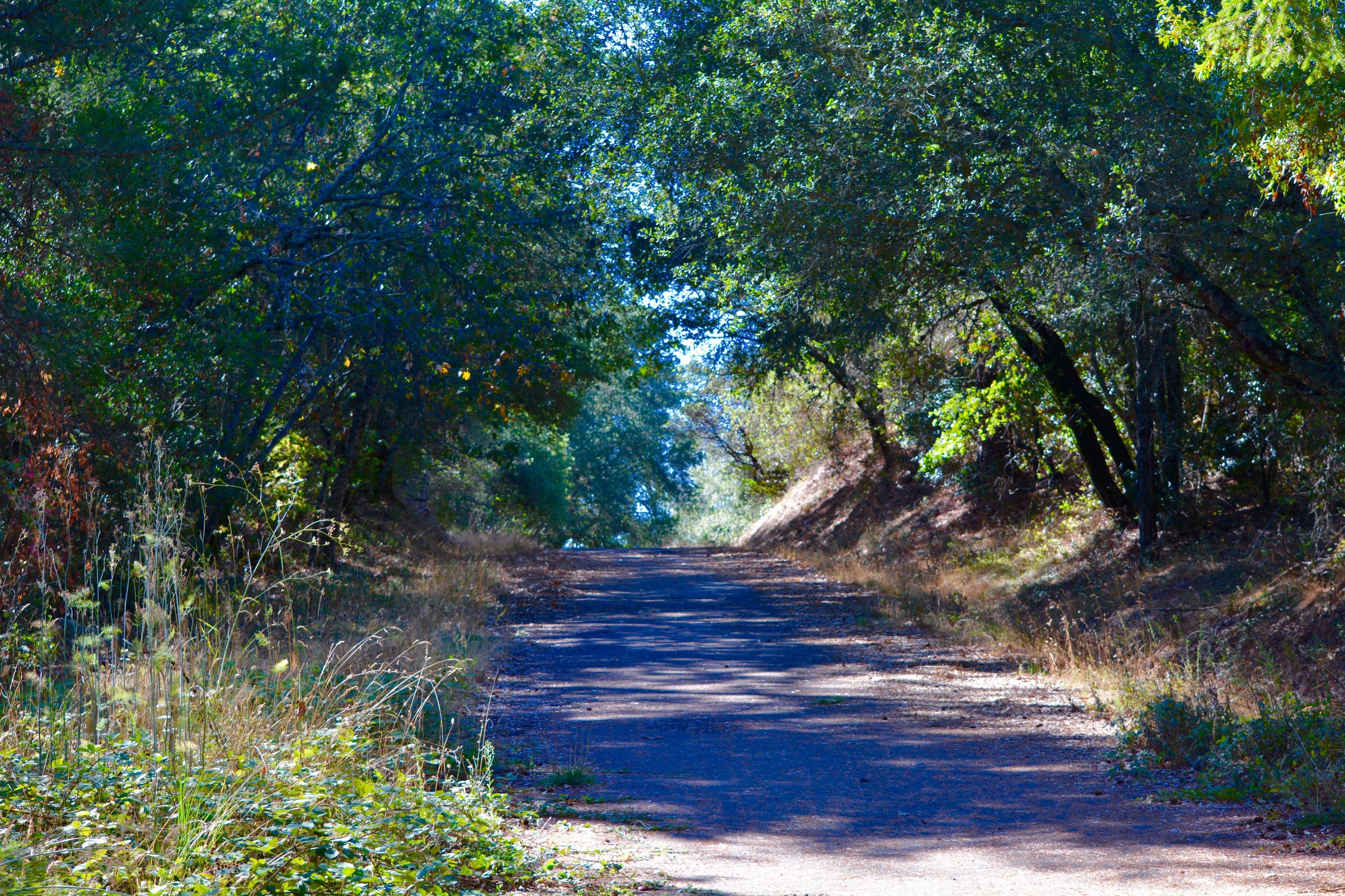 Bike_Path.jpg