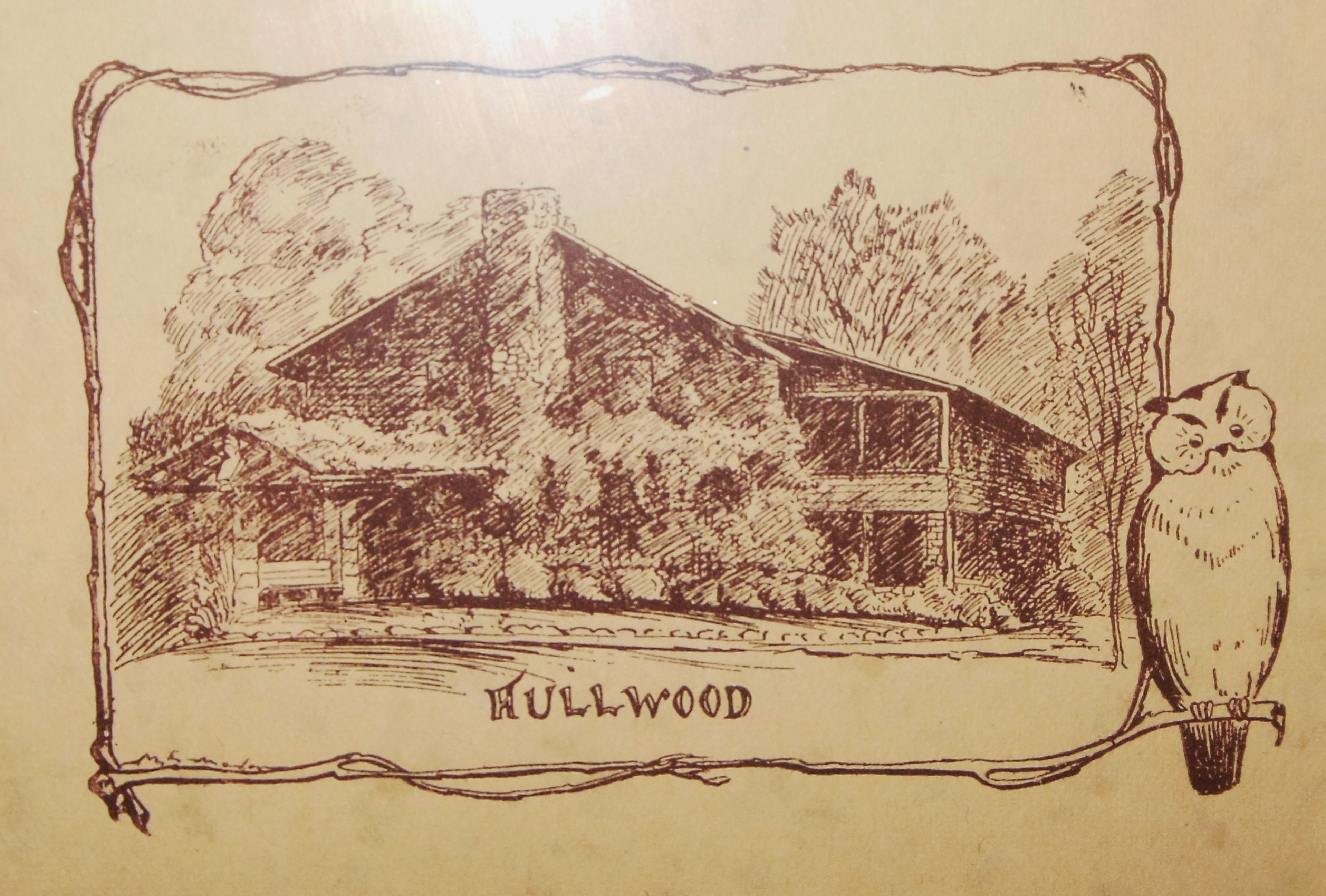 aullwood-drawing.jpg