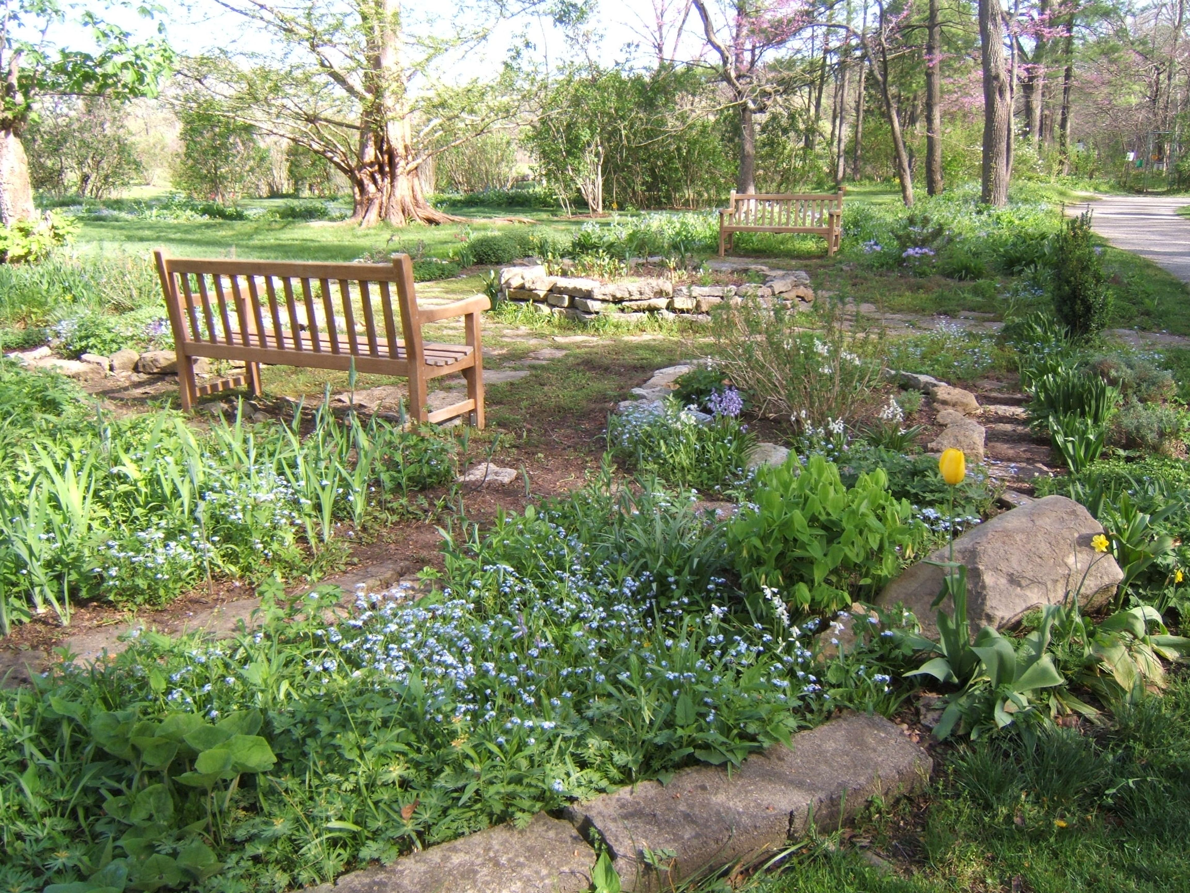 Herb_Garden_in_Spring.JPG