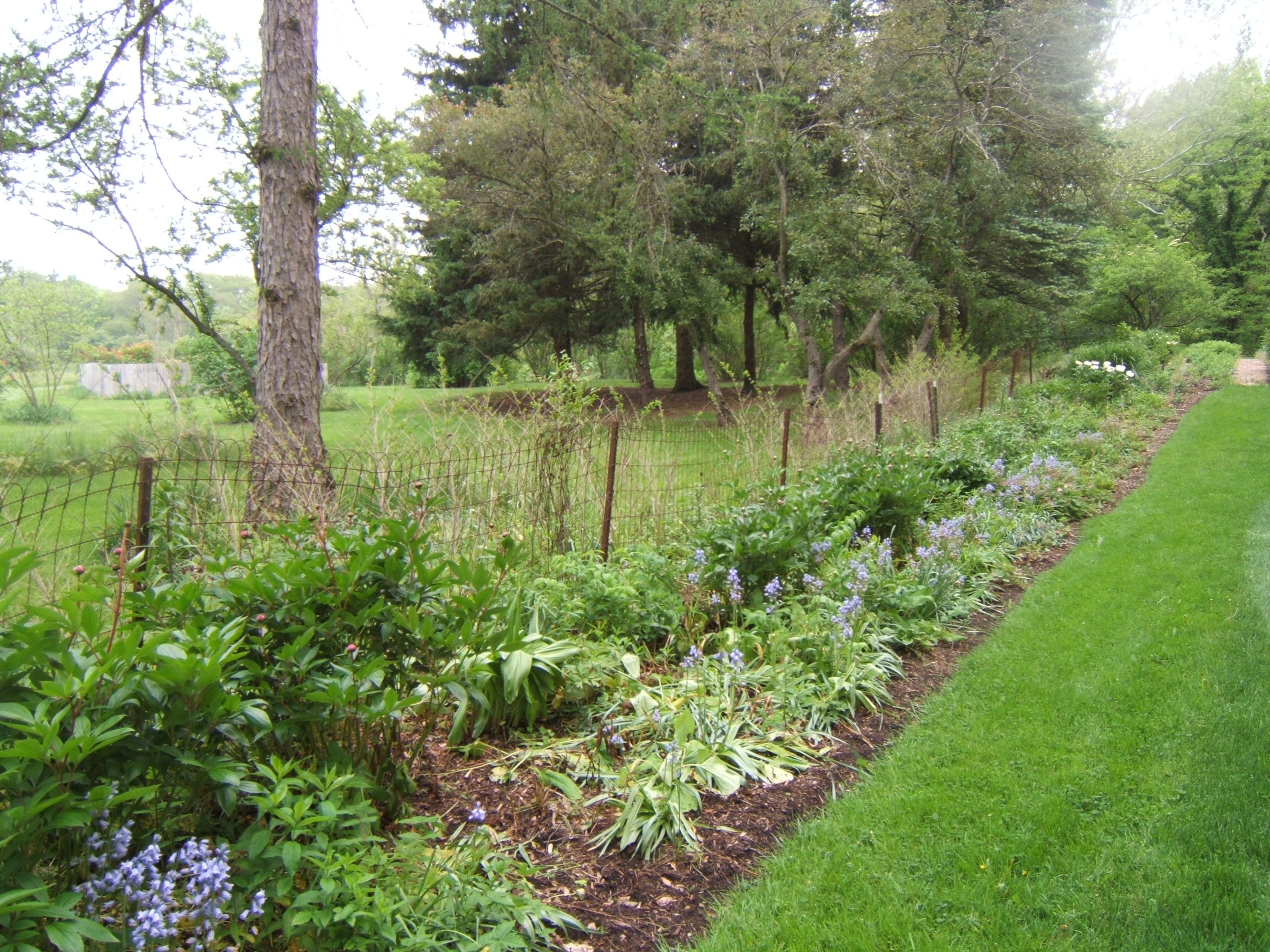 Antique_Fence_in_Spring.JPG