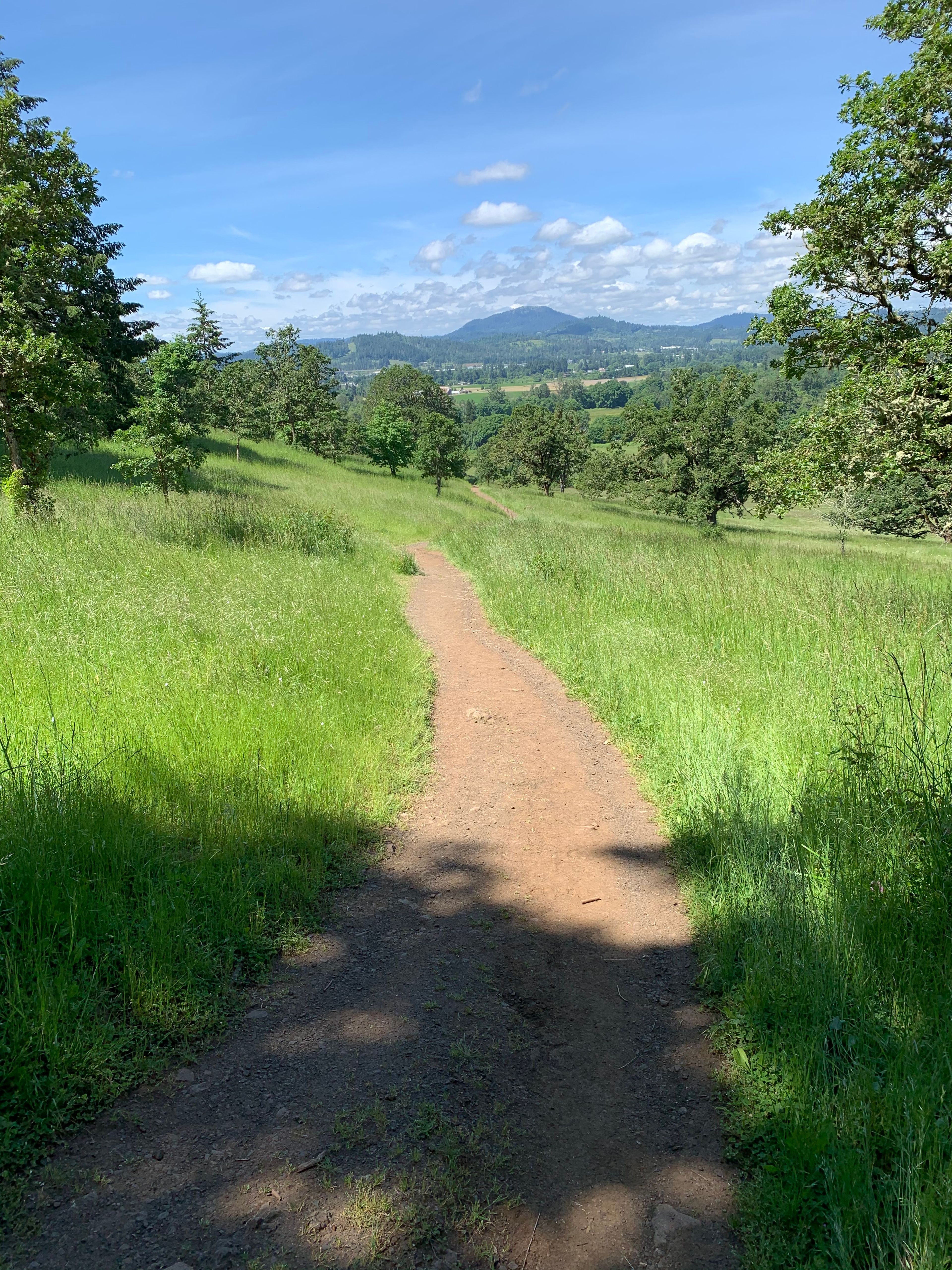 Trail 3 Looking Back towards Spencer Butte