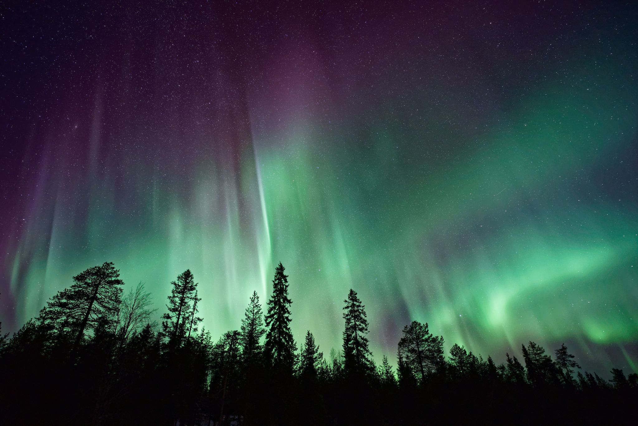 The northern lights in Alaska.