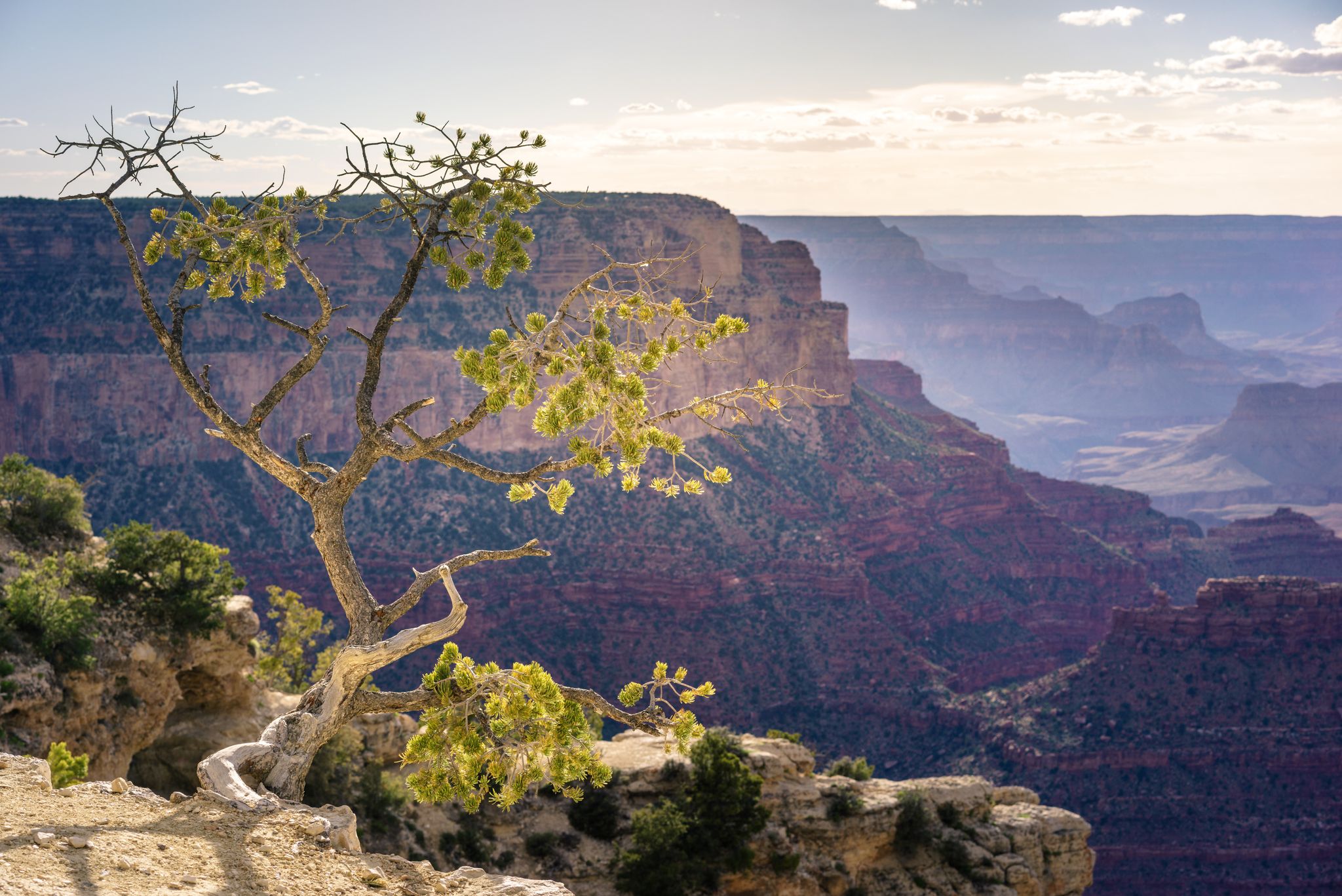 The Grand Canyon in Arizona, US.