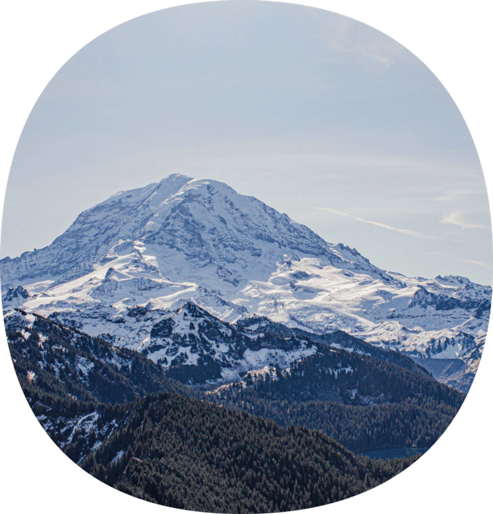Washington Community Badge
