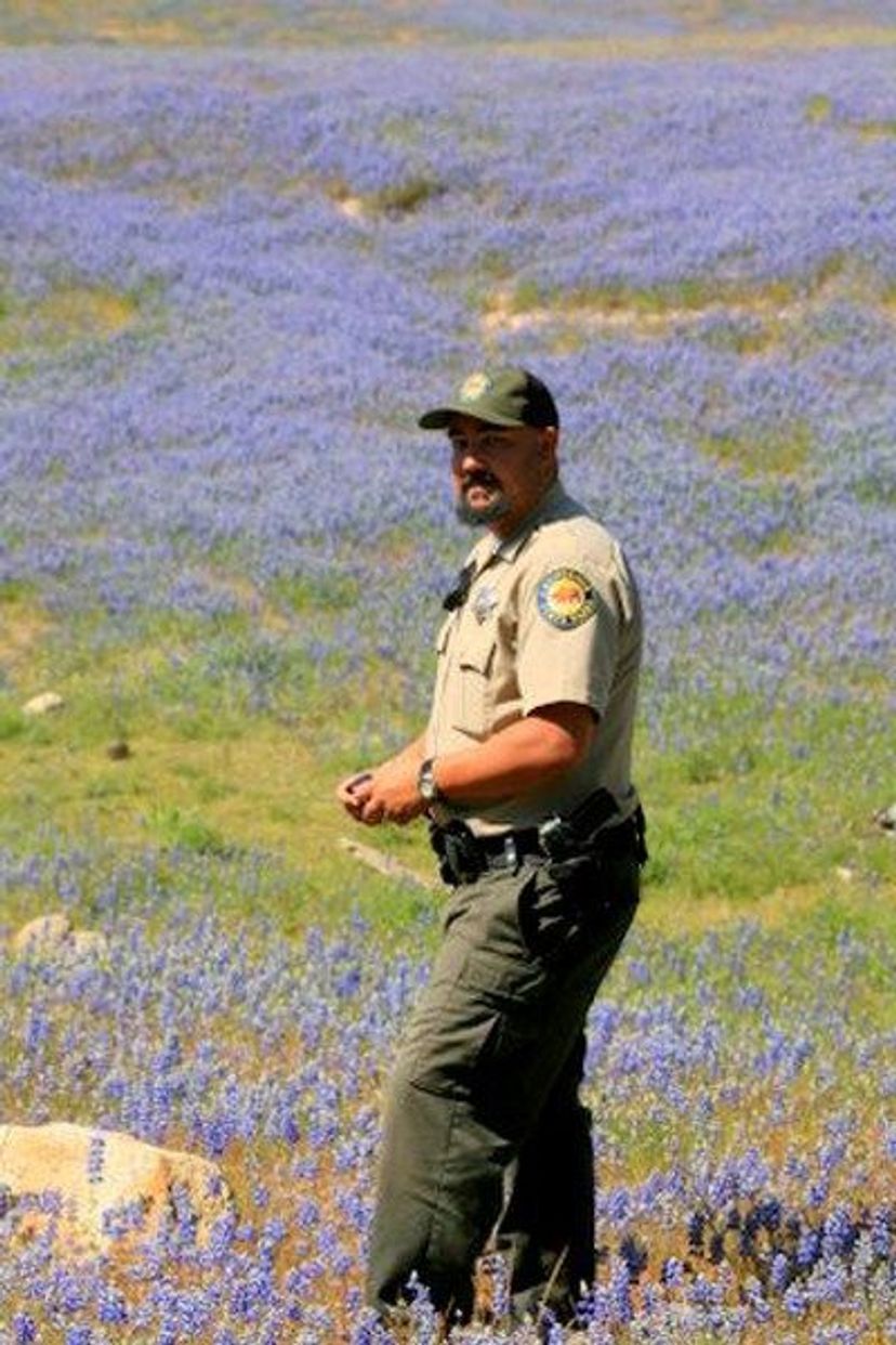 Image of California State Park