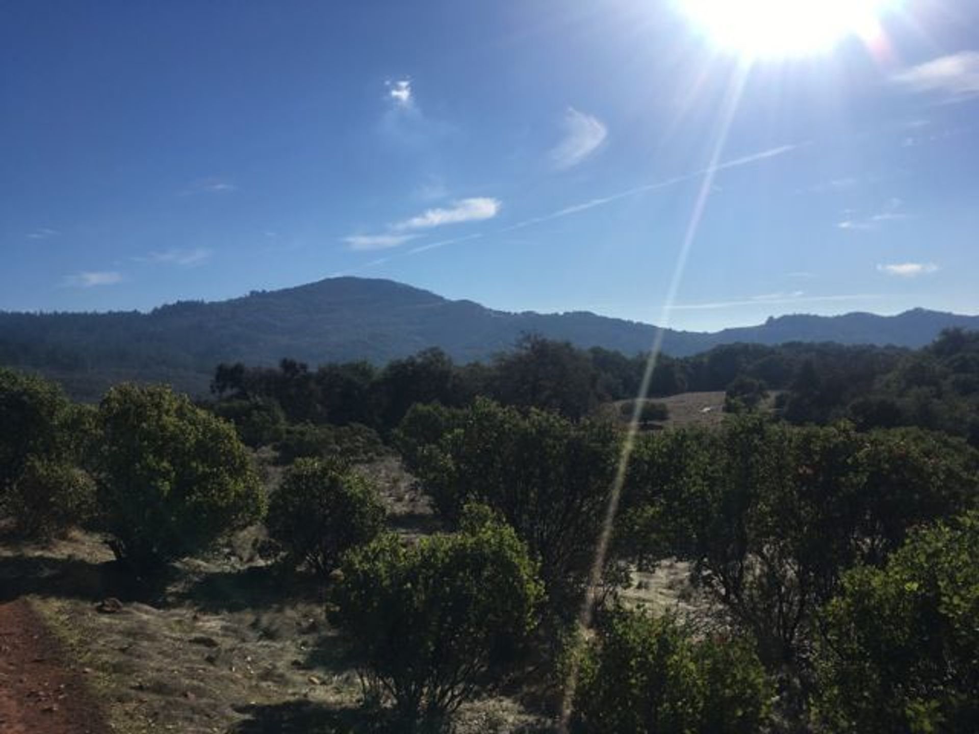 Image of California State Park