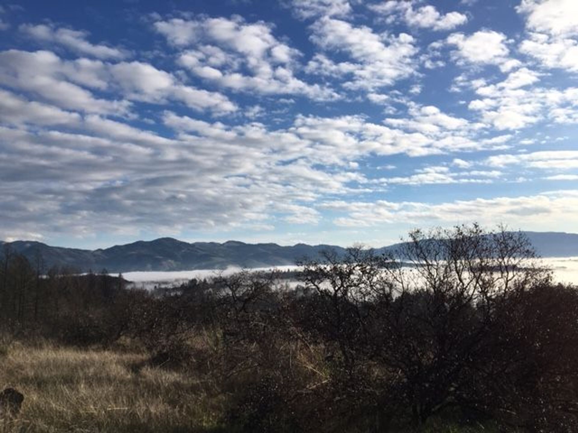 Image of California State Park