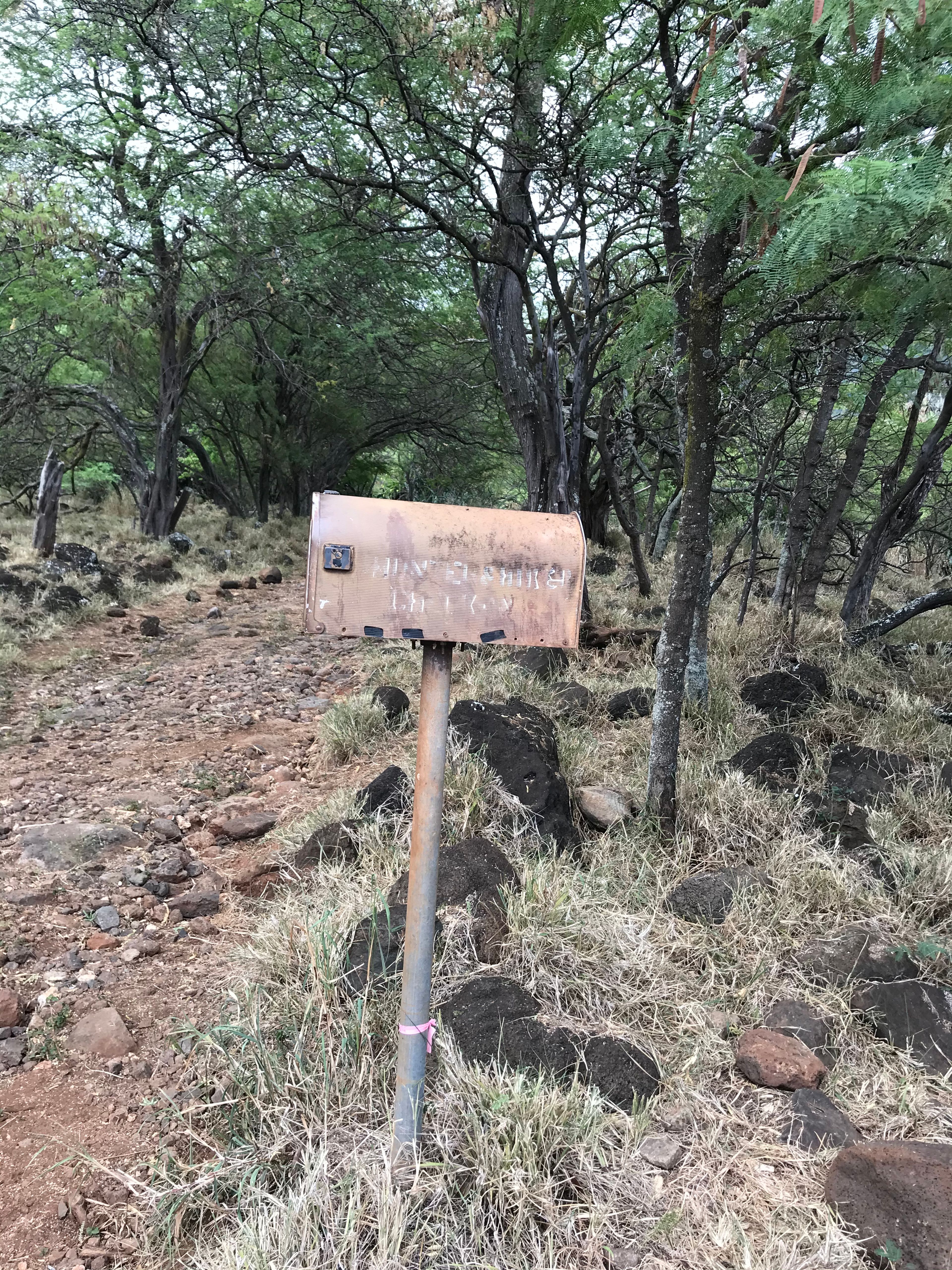 Hiker Check In Station Mailbox