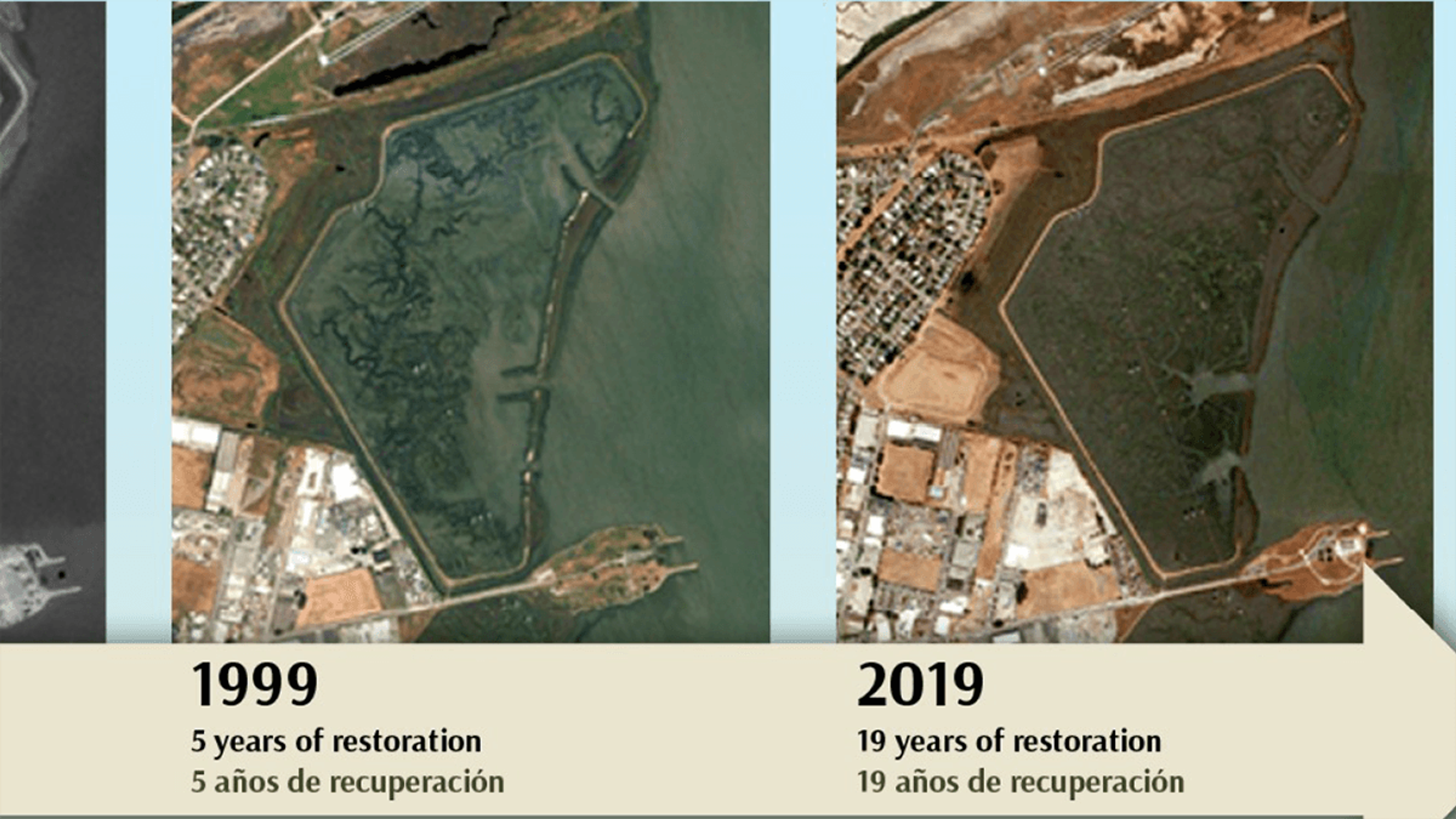 Comparison of restoration after 5 years and 19 years - detail from interpretive panel. 