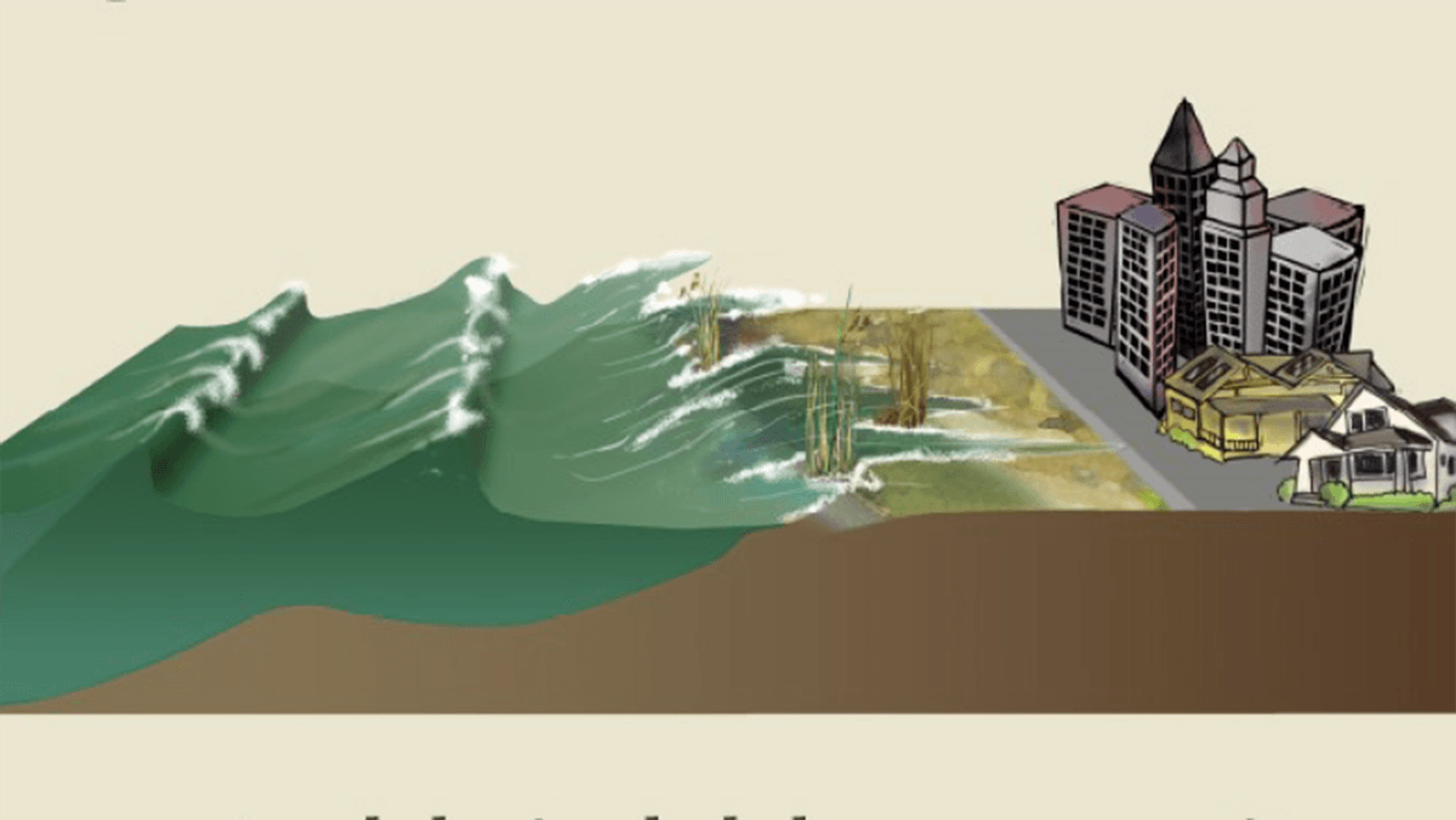 Wetlands buffer communities from sea level rise - detail from interpretive panel. 