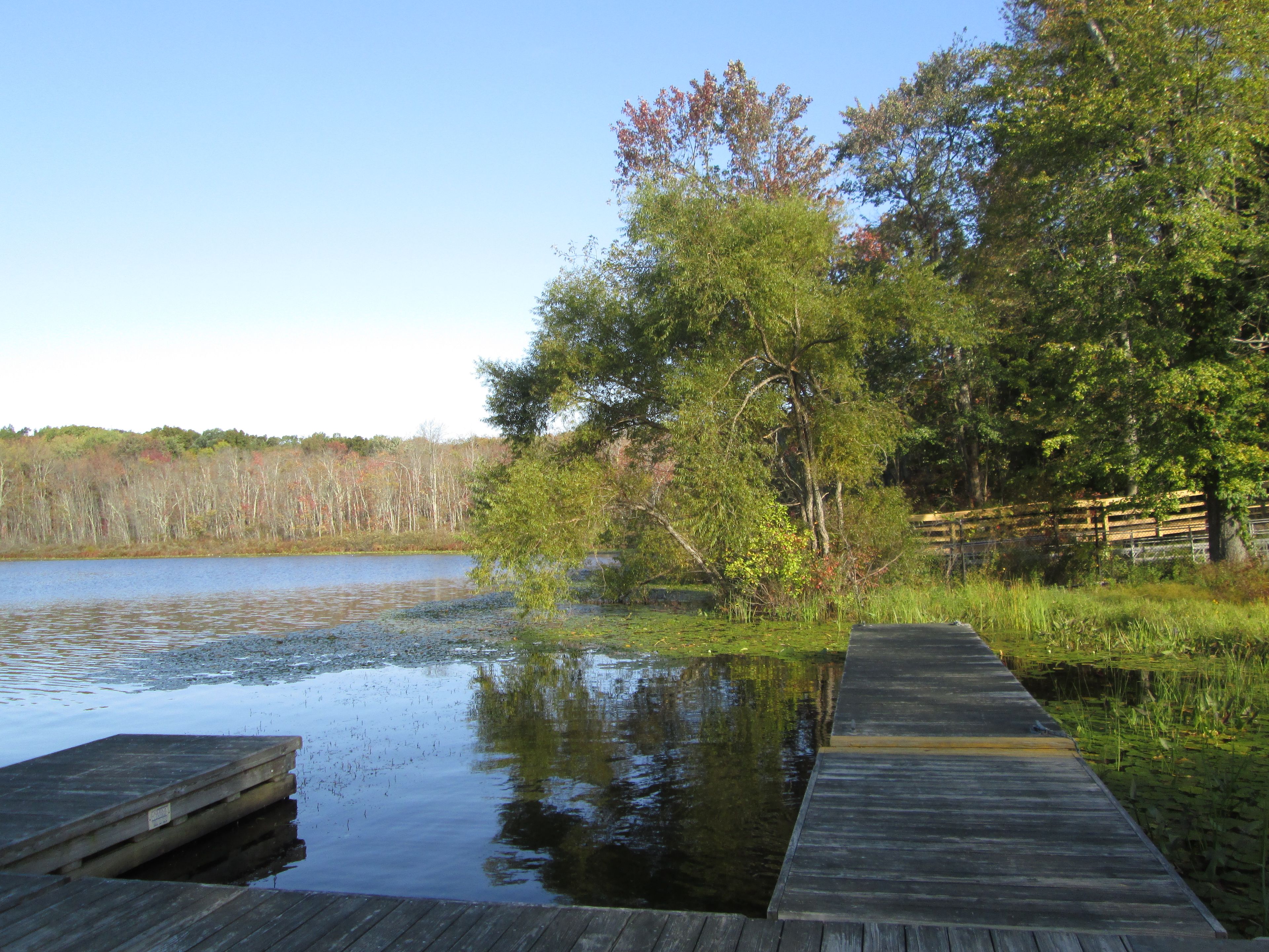 FDR State Park