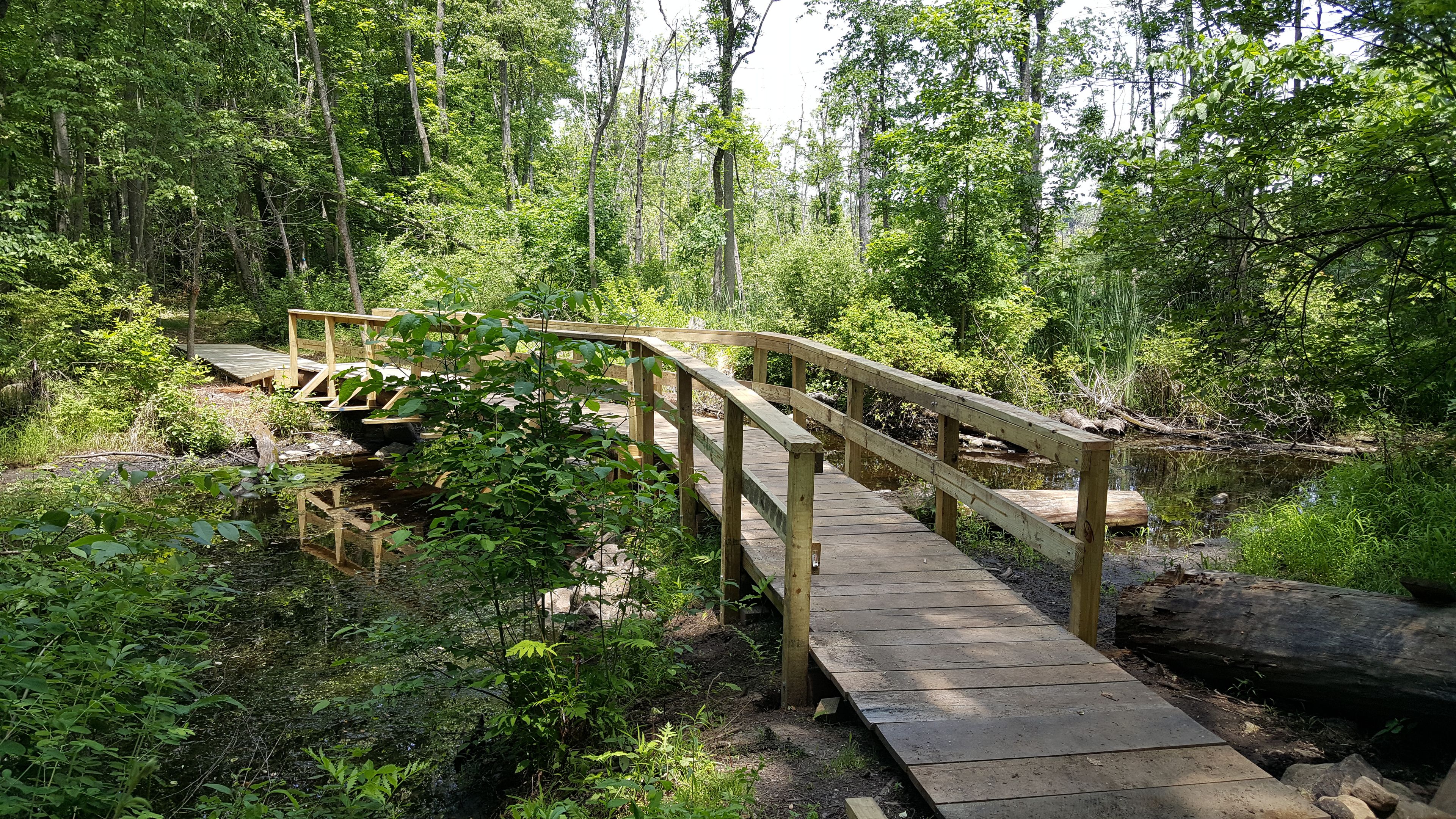 Crom Pond Stream Crossing