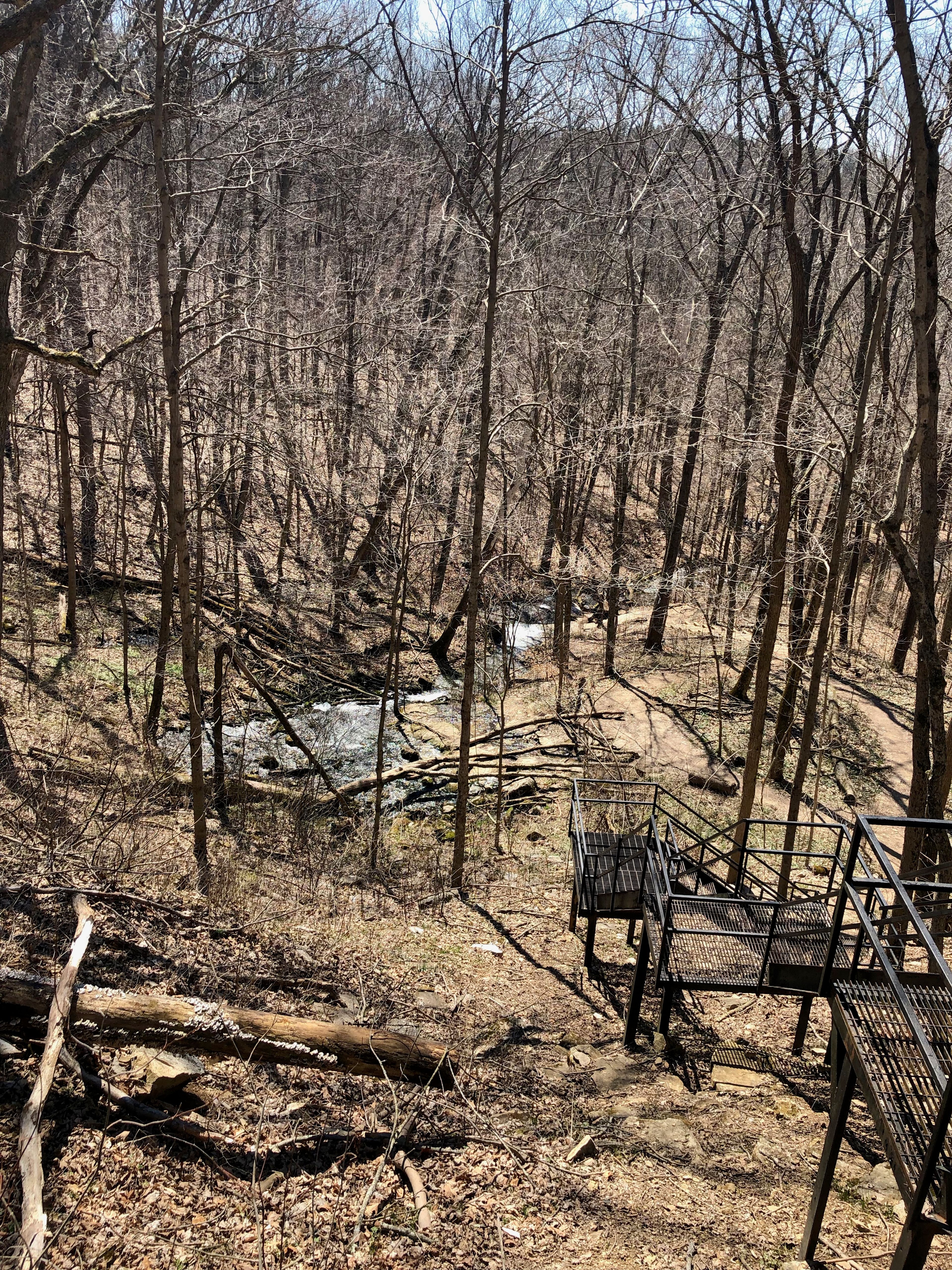 View from atop 100-step stair case made of metal at Leonard Springs Nature Park.