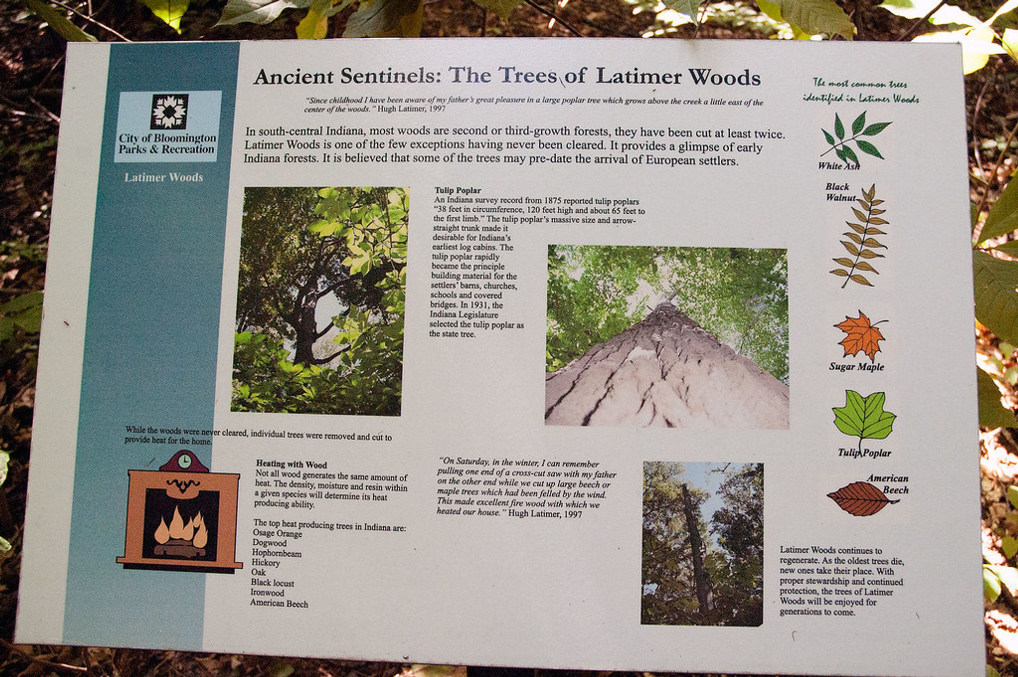 Interpretative trail sign at Latimer Woods in Bloomington, Indiana.