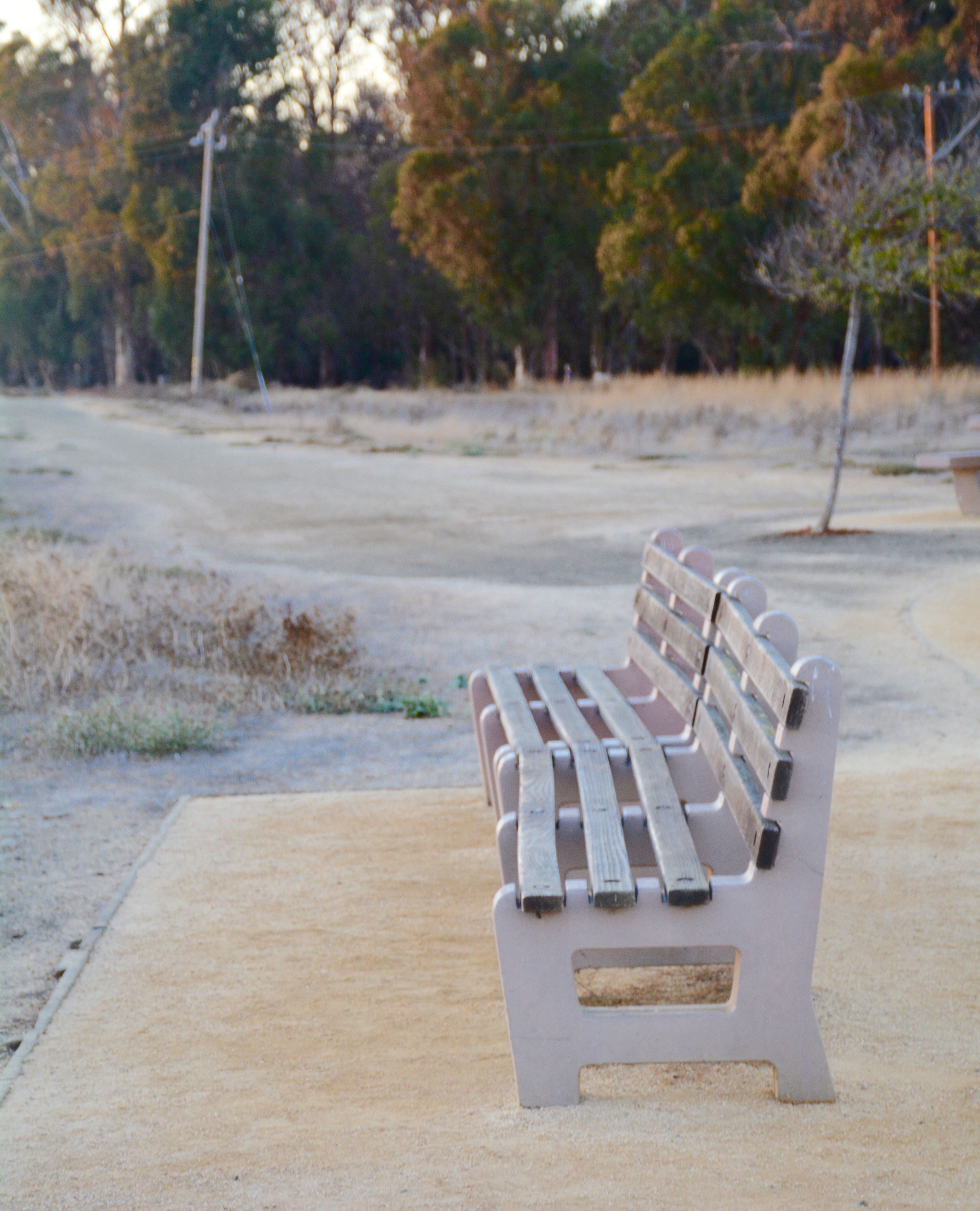 Benches_at_Parking.jpg