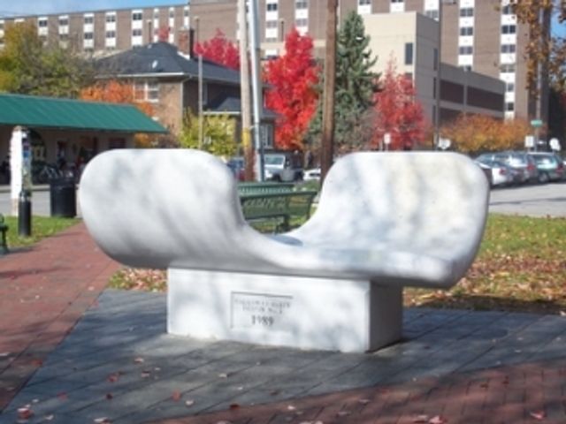 People's Park bench in the Shape of Opposing Wings