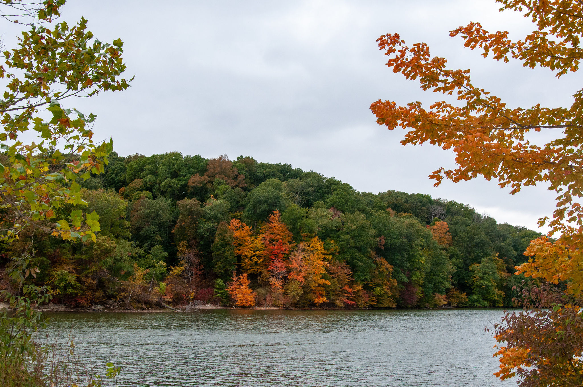 Griffy Lake in the fall 2020.