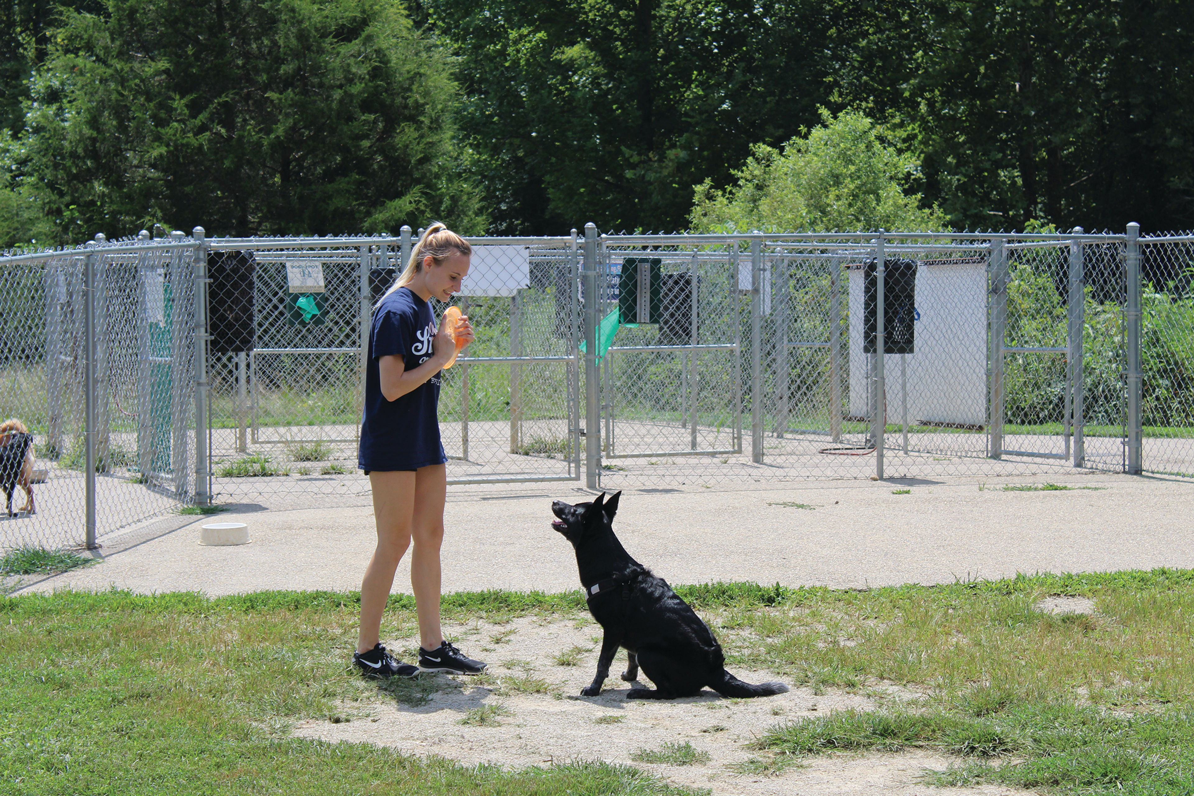 dogs can run and play in Ferguson Dog Park