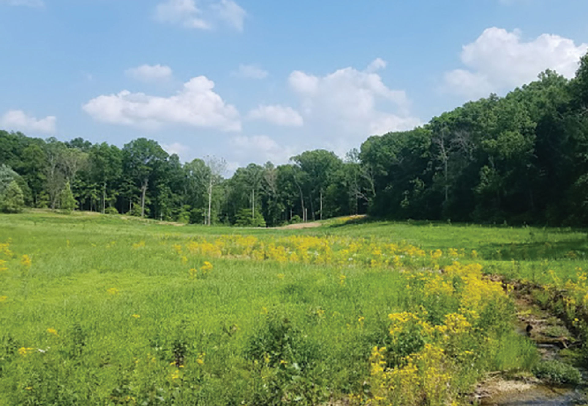 Wapehani Mountain Bike Park