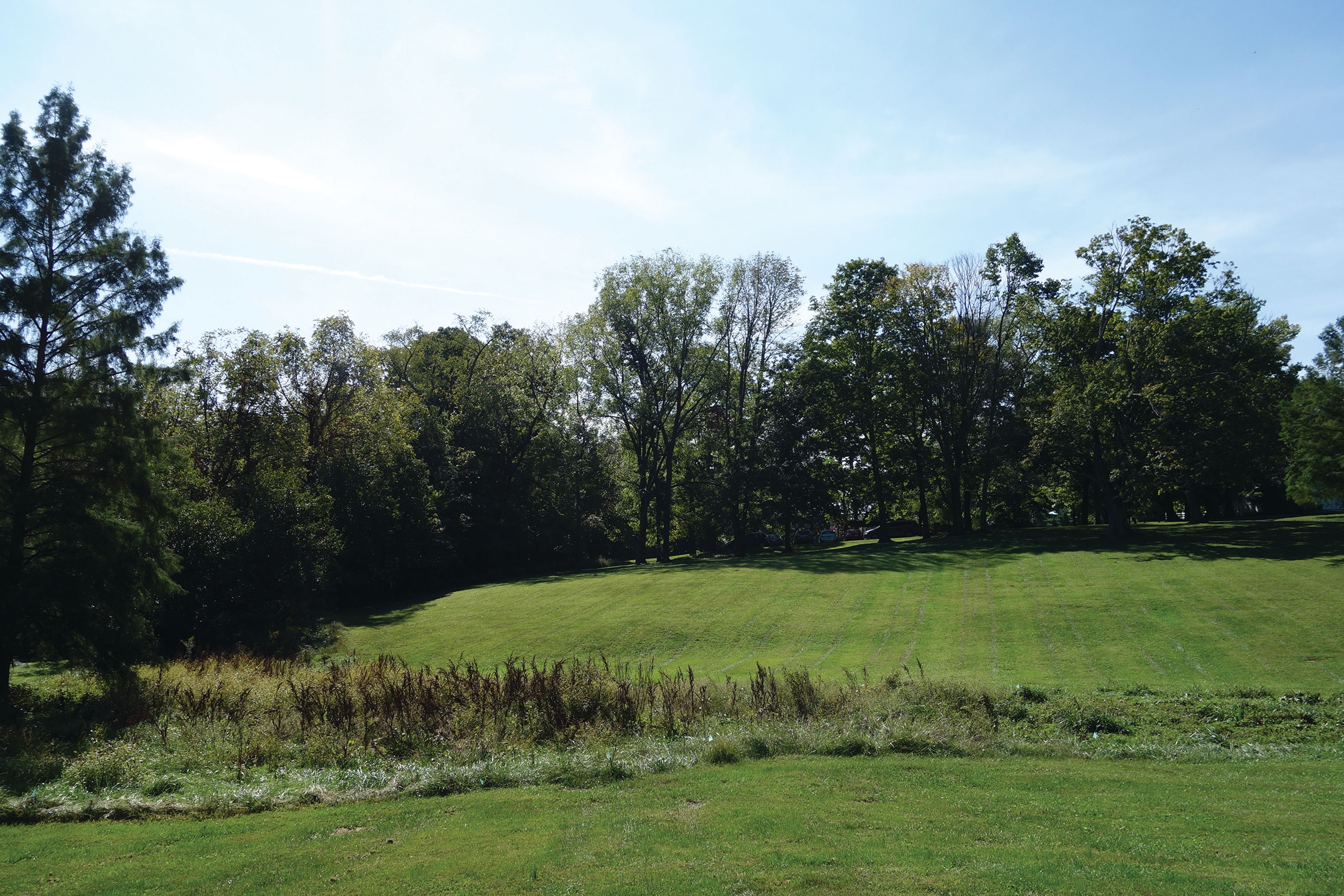 Fields and trees in Southeast Park