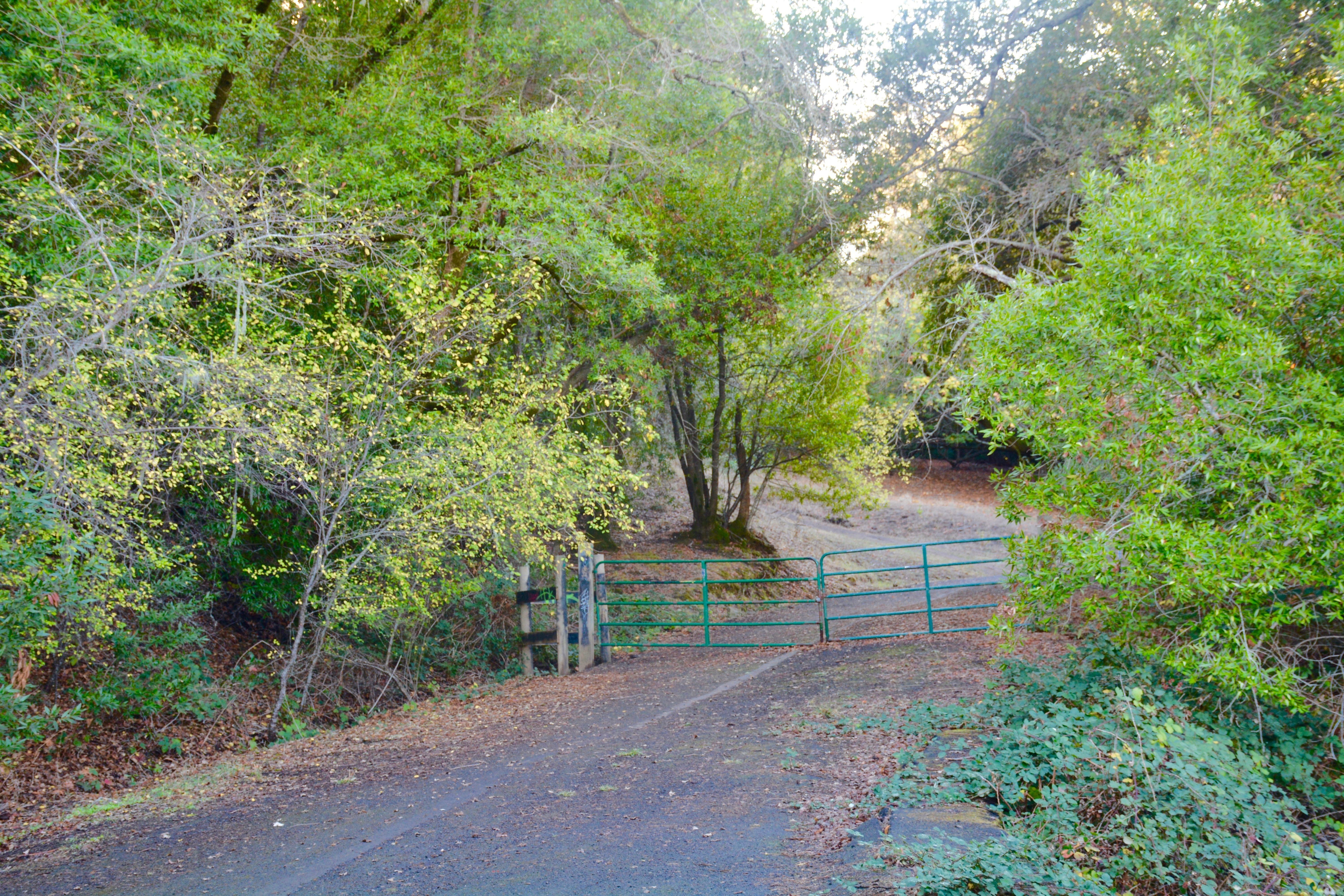 Timberhill Timberhill Park Trail - Trails - OuterSpatial