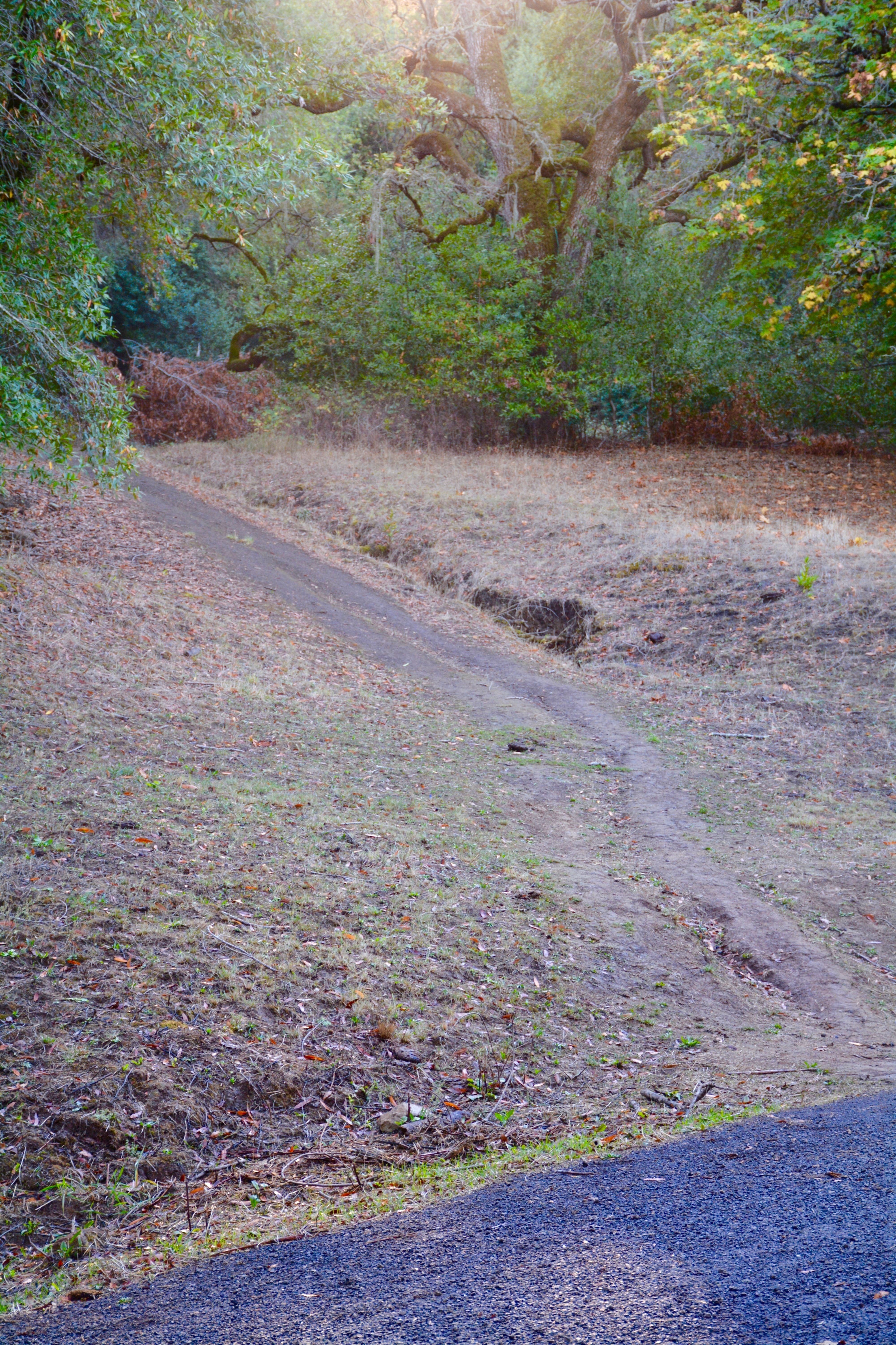 Timberhill Timberhill Park Trail - Trails - OuterSpatial