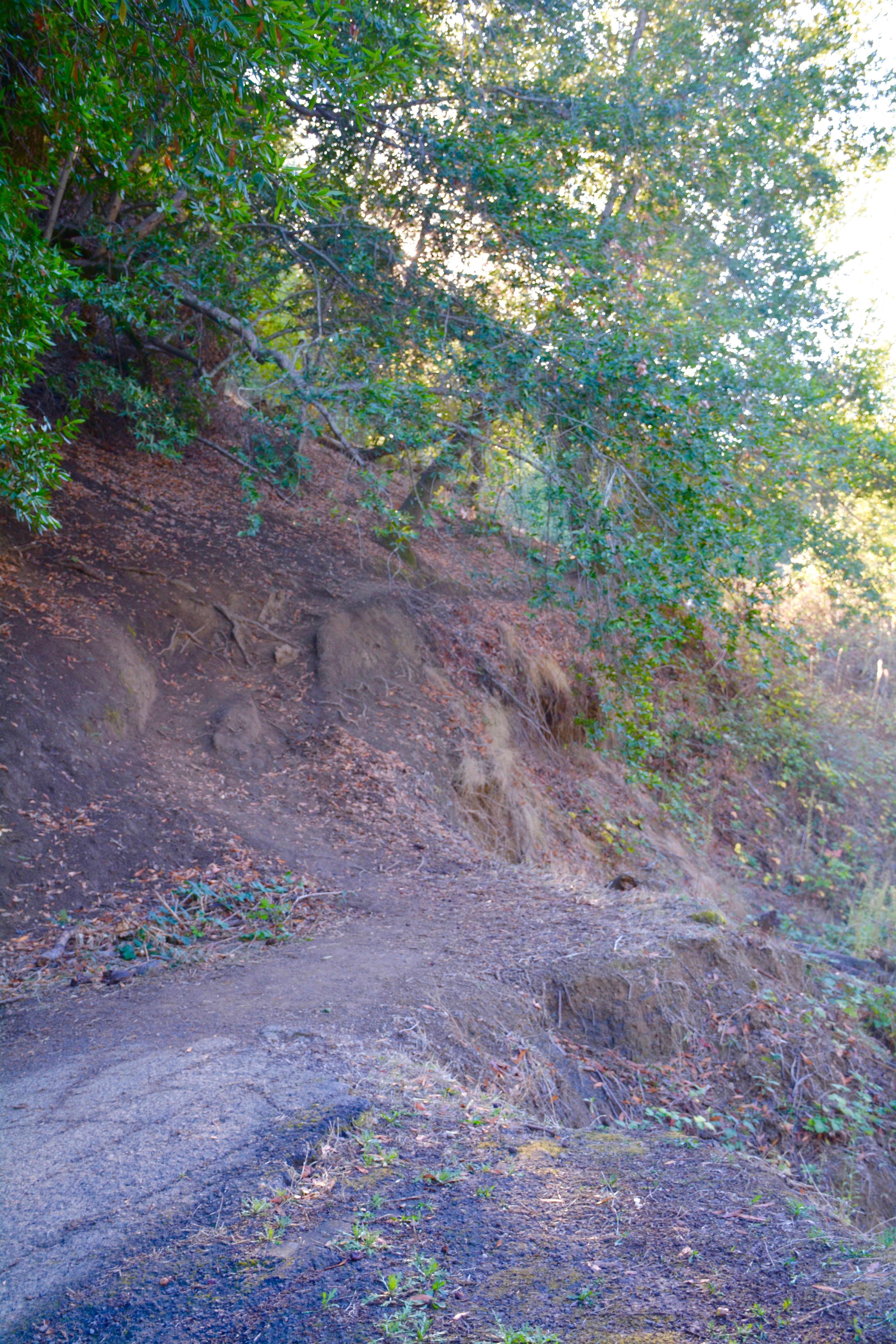 Timberhill Timberhill Park Trail - Trails - OuterSpatial