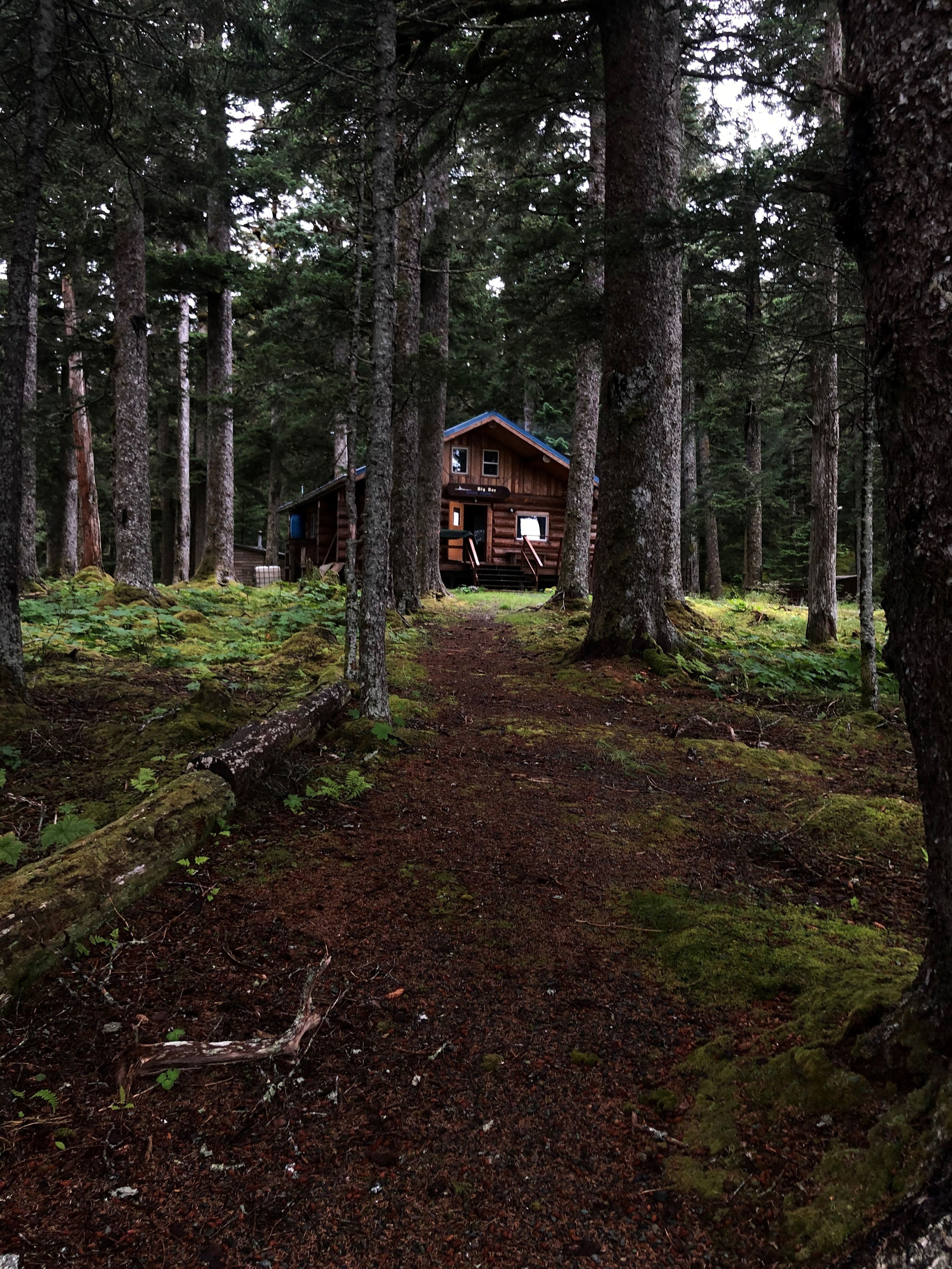 Shuyak Cabin