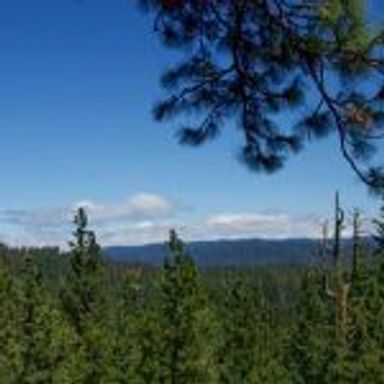 View at the Overlook