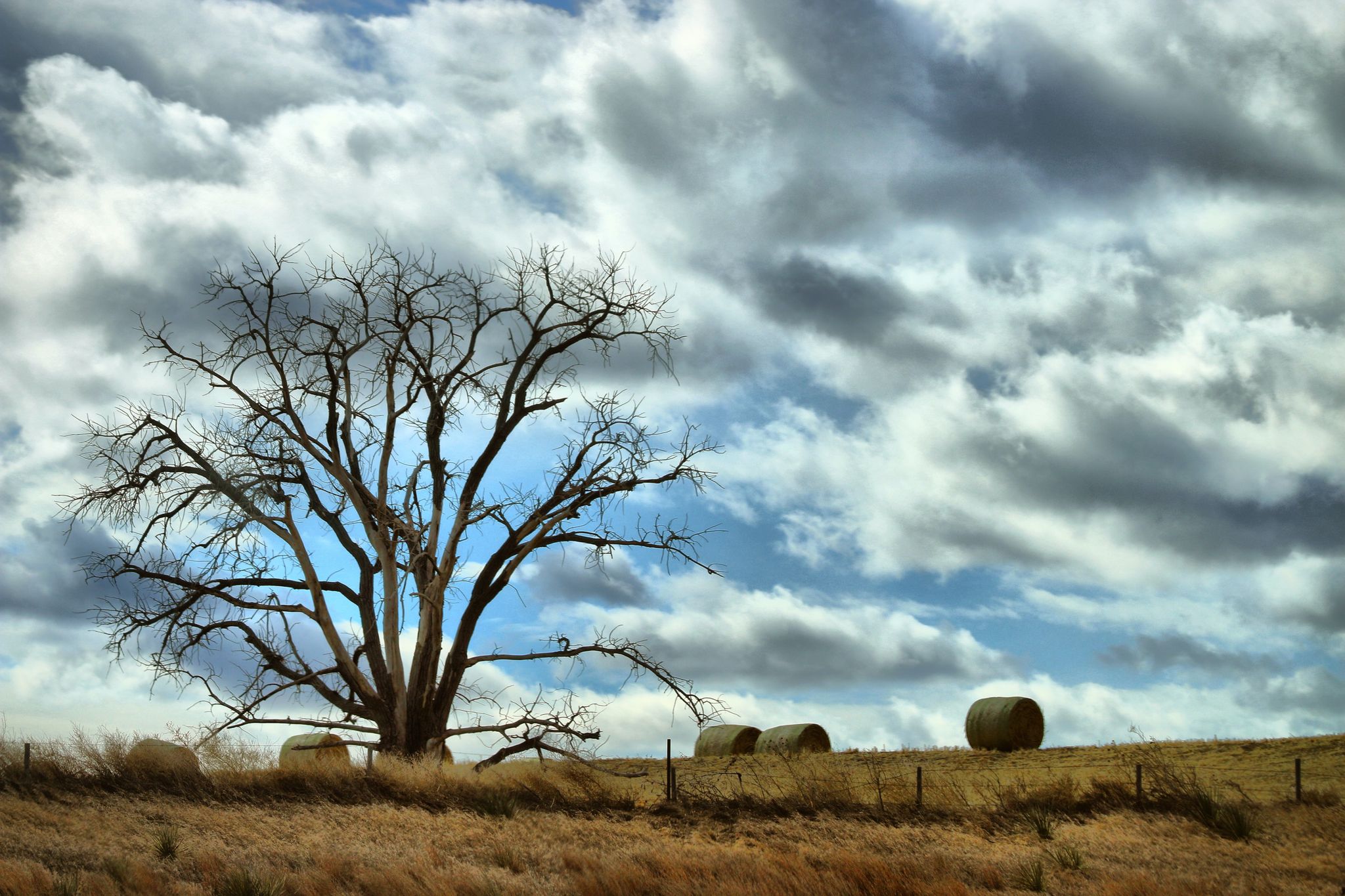 Kansas sky with beautiful clouds. Bare trees and hay bales.