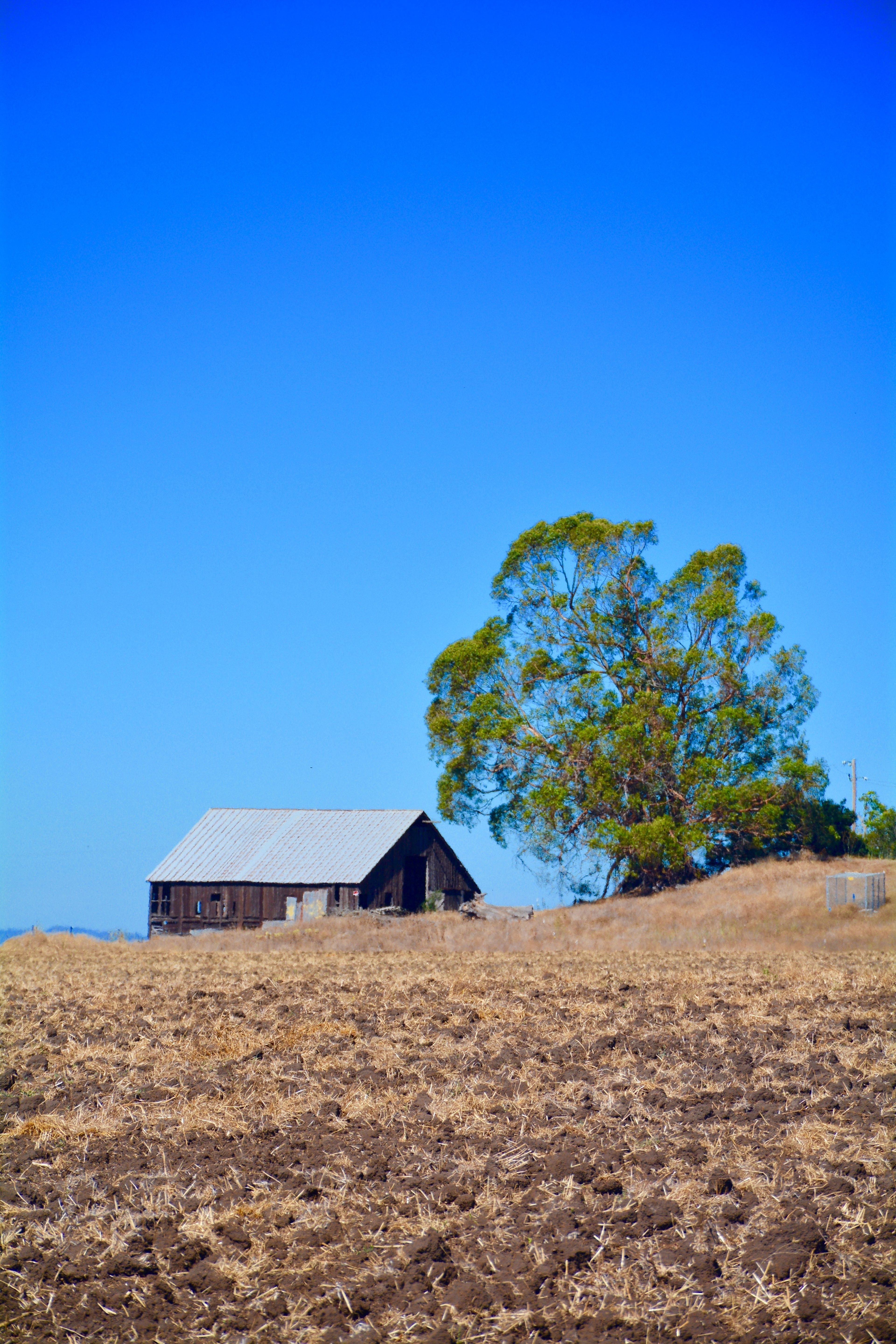 Barn.jpg