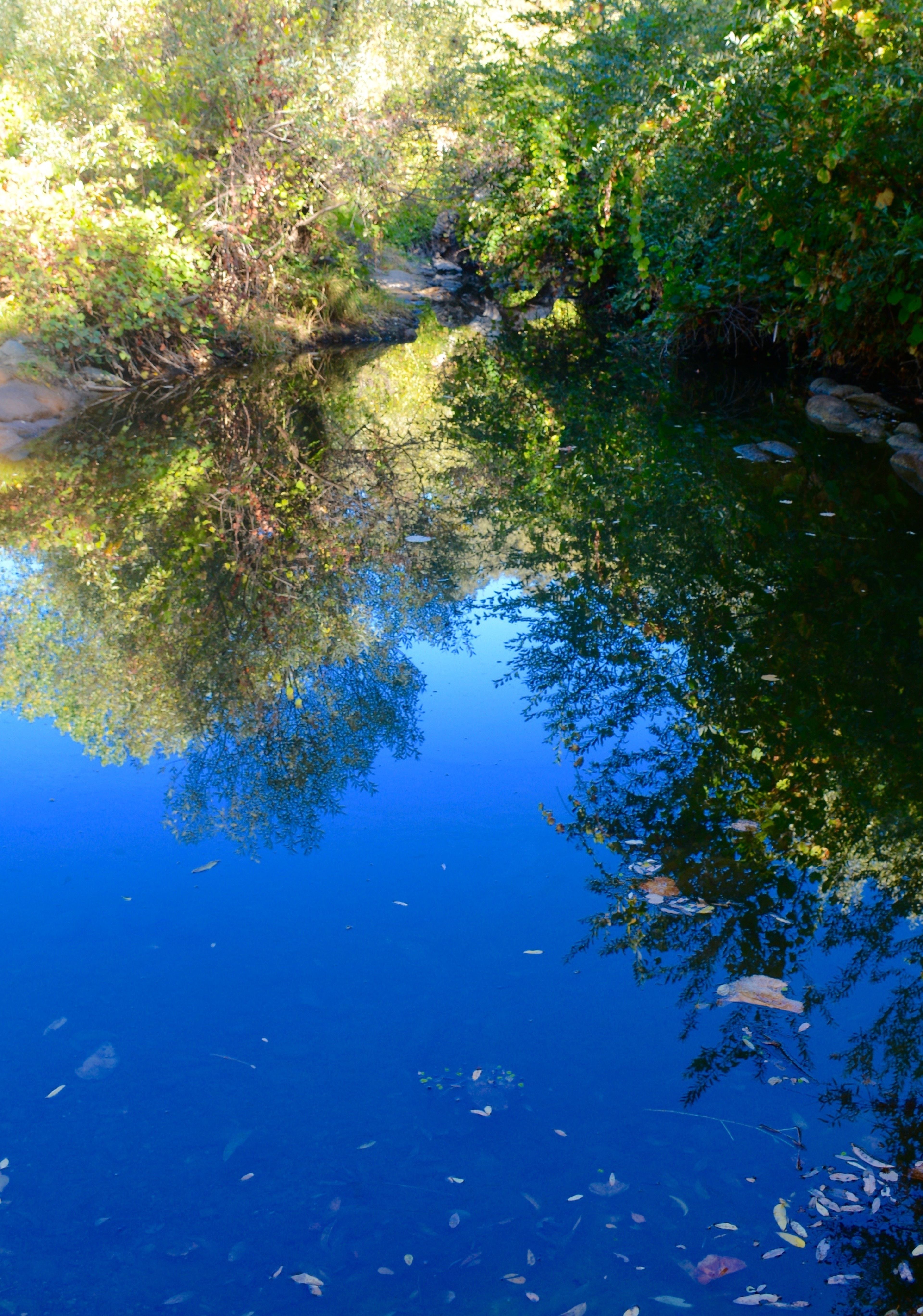 Napa_River.jpg