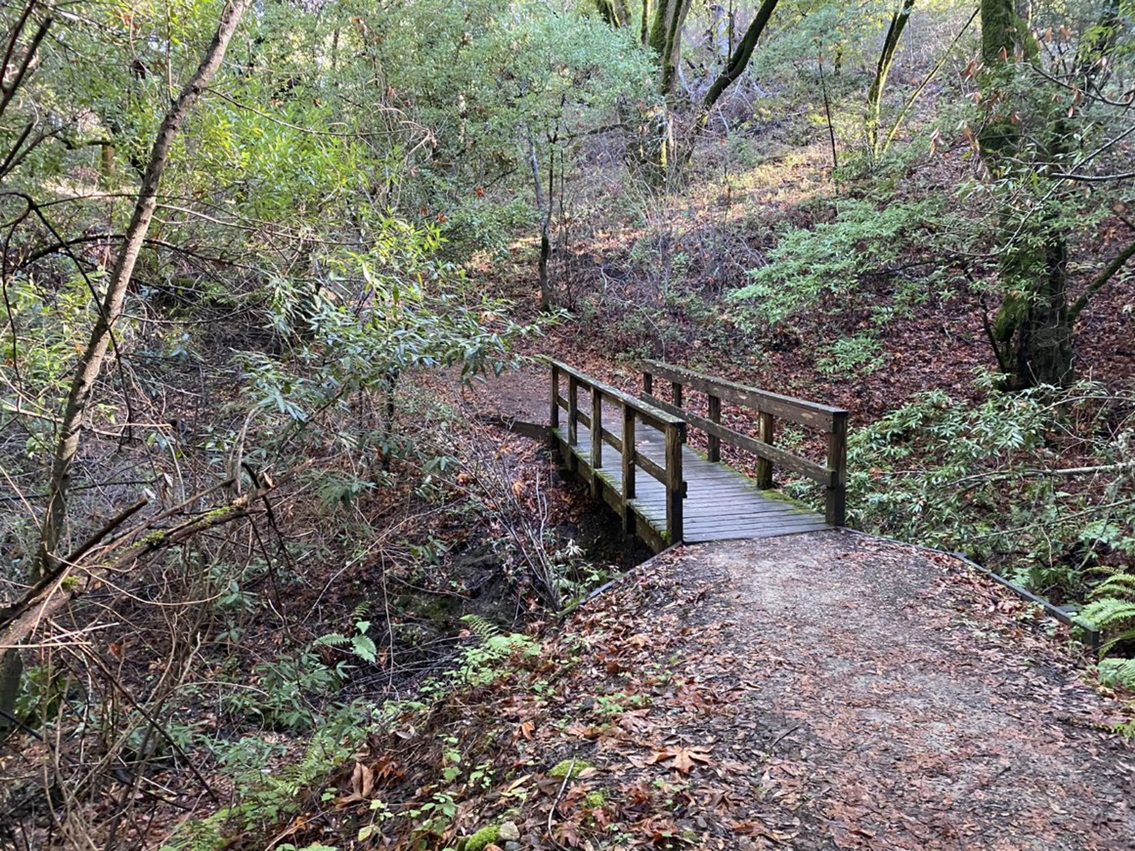 Los Trancos Creek Bridge