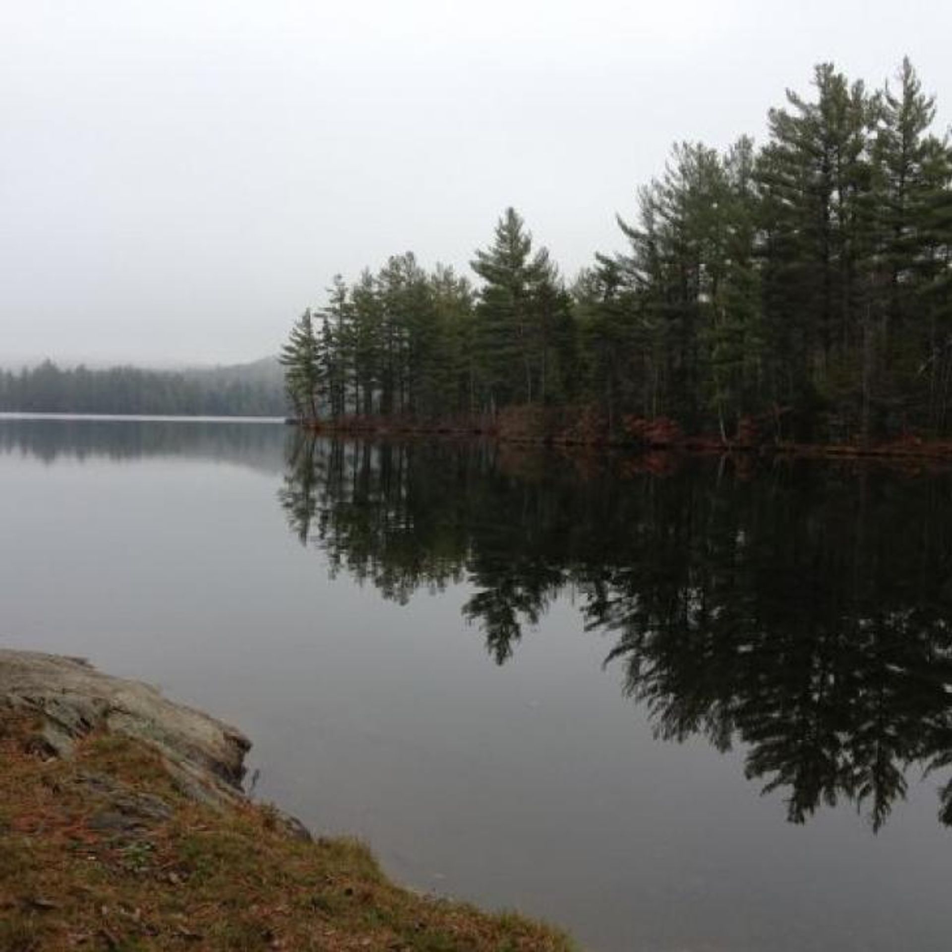 Forest is reflected in the water on a foggy day.