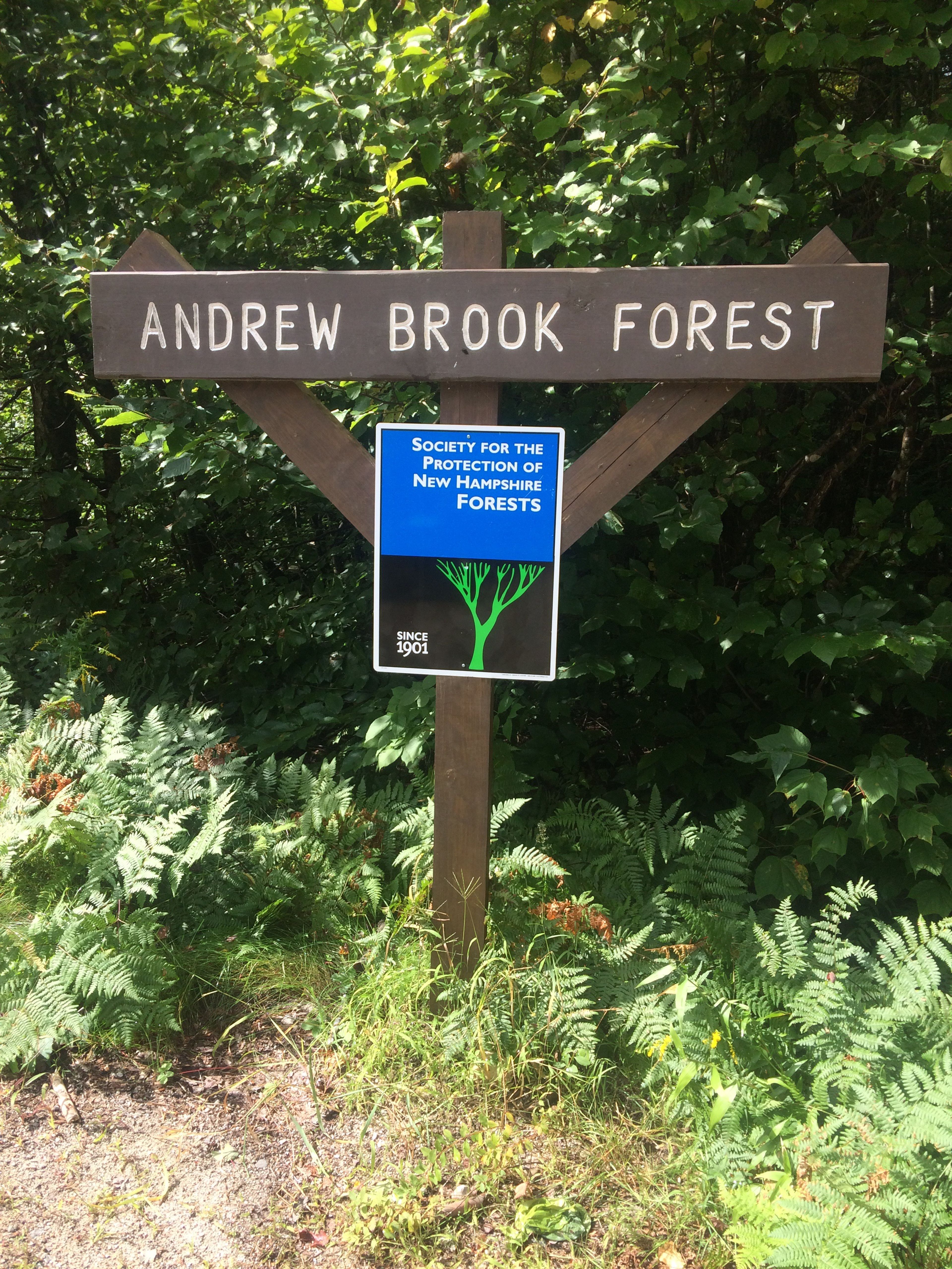 Property sign for Andrew Brook Forest