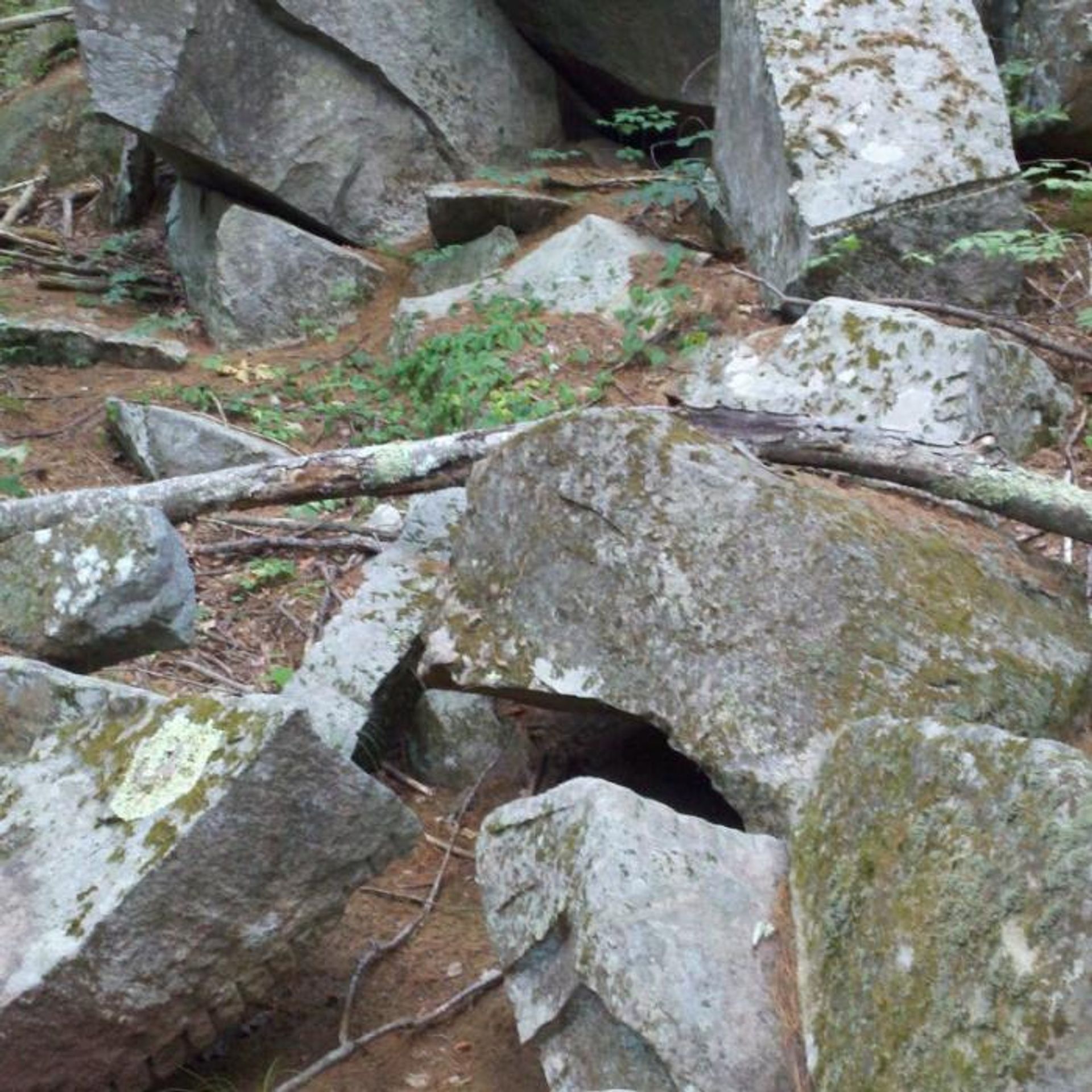 Boulders at Champlin Forest