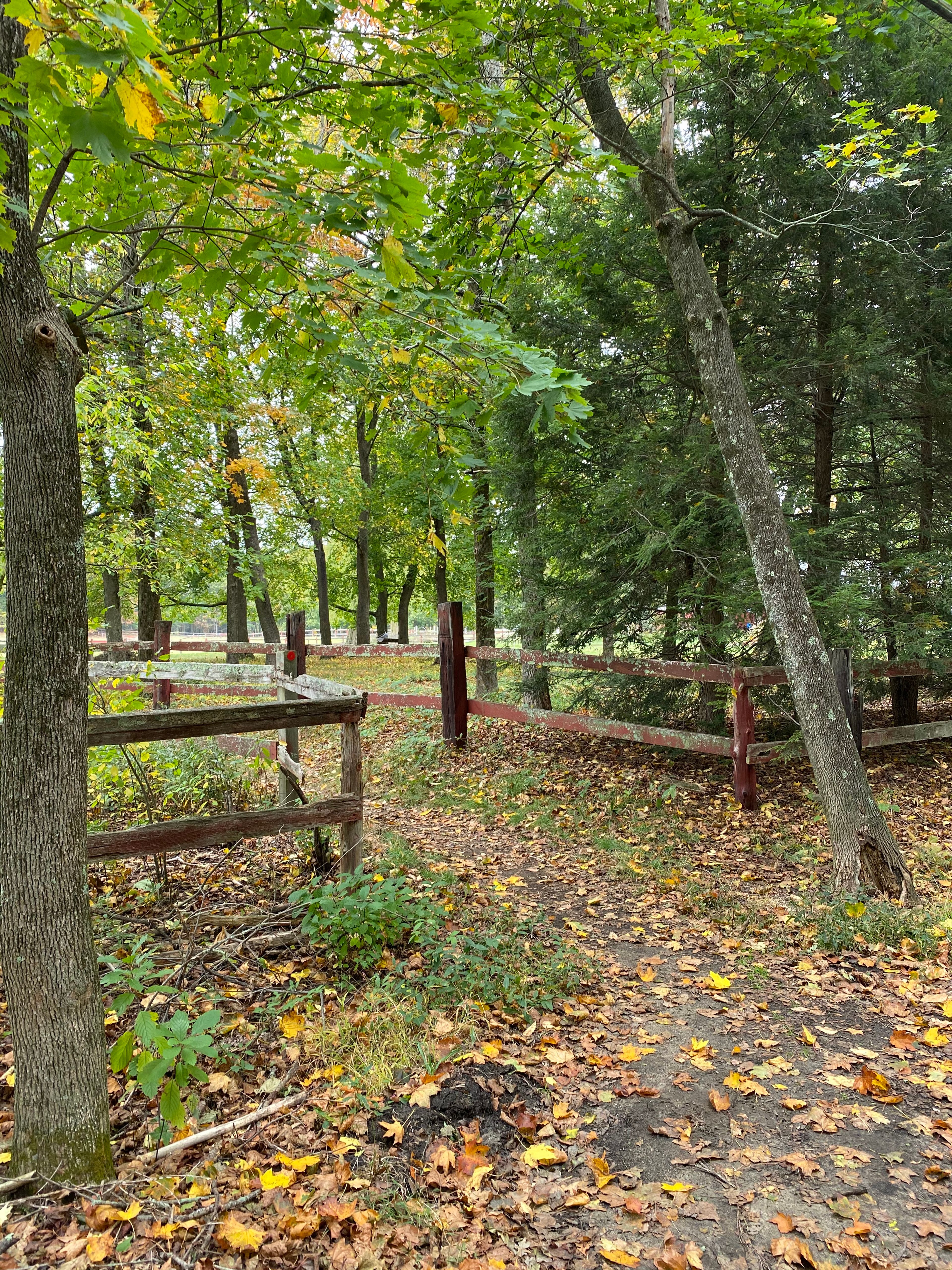 Adams Woods entrance at Red Rail Farm