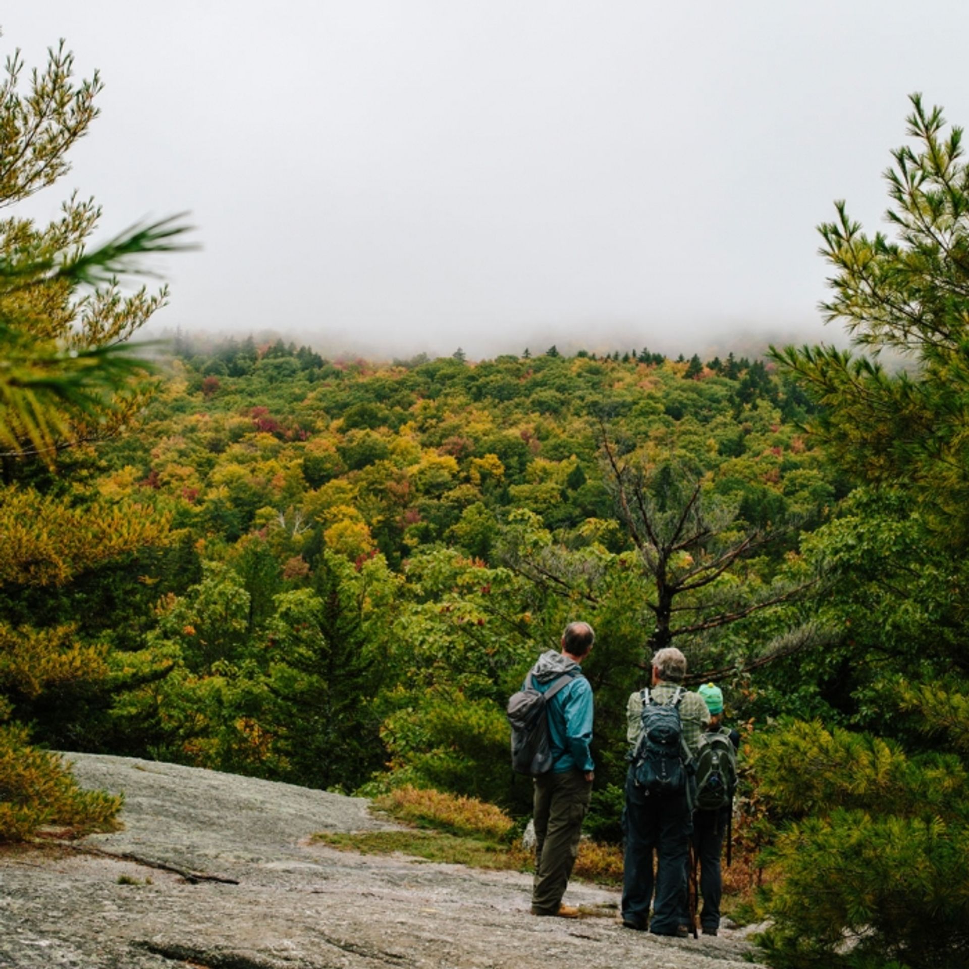 Hikers pause to take in a foggy view from along the trail to the summit of Mount Major.