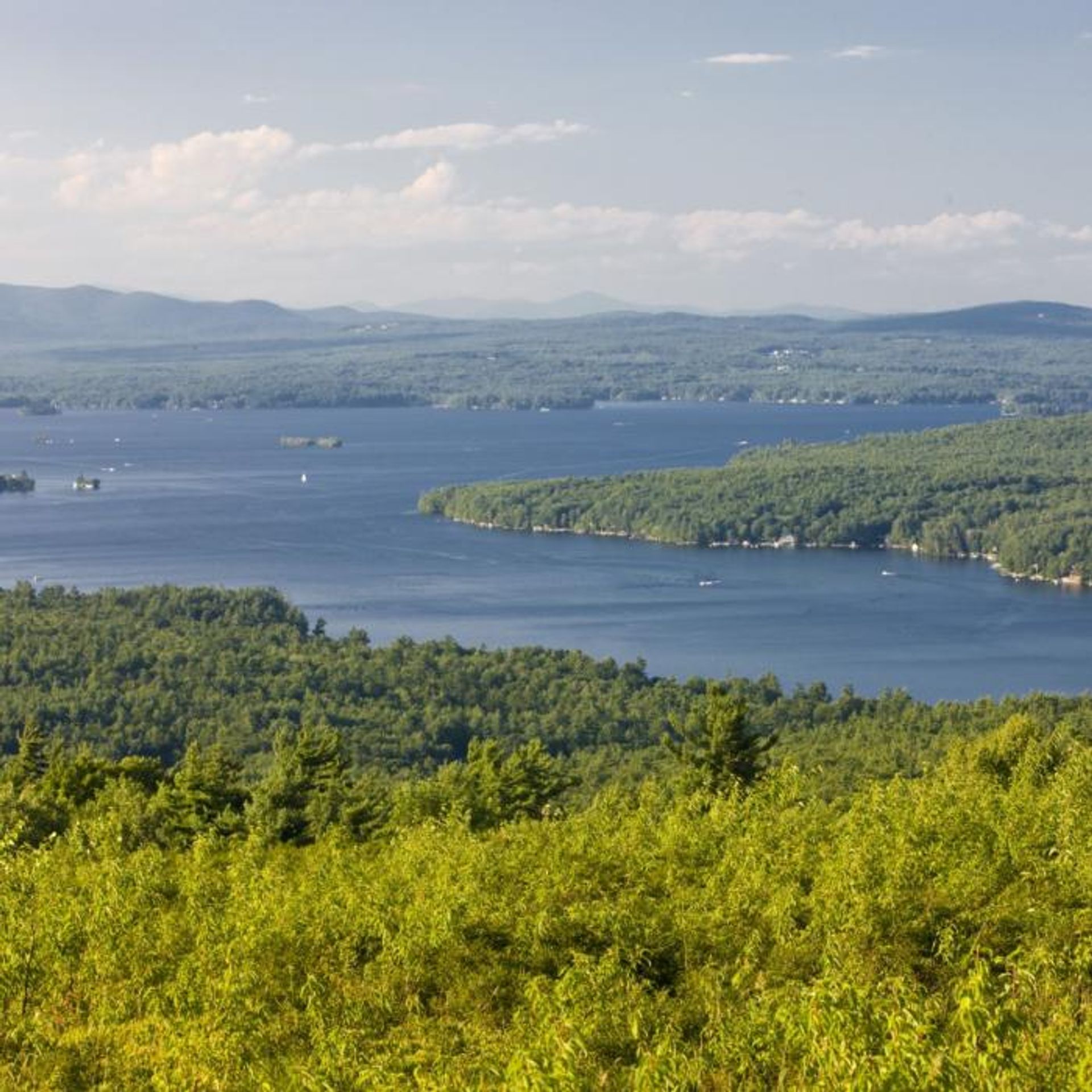 A view of the lake from Morse Preserve, surrounded by forest.