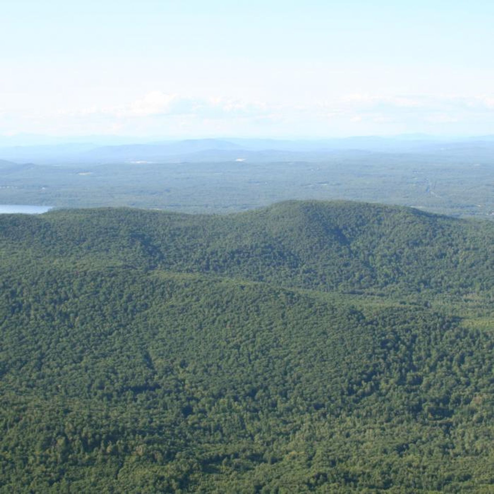  A view of green forested hills with mountain peaks beyond.