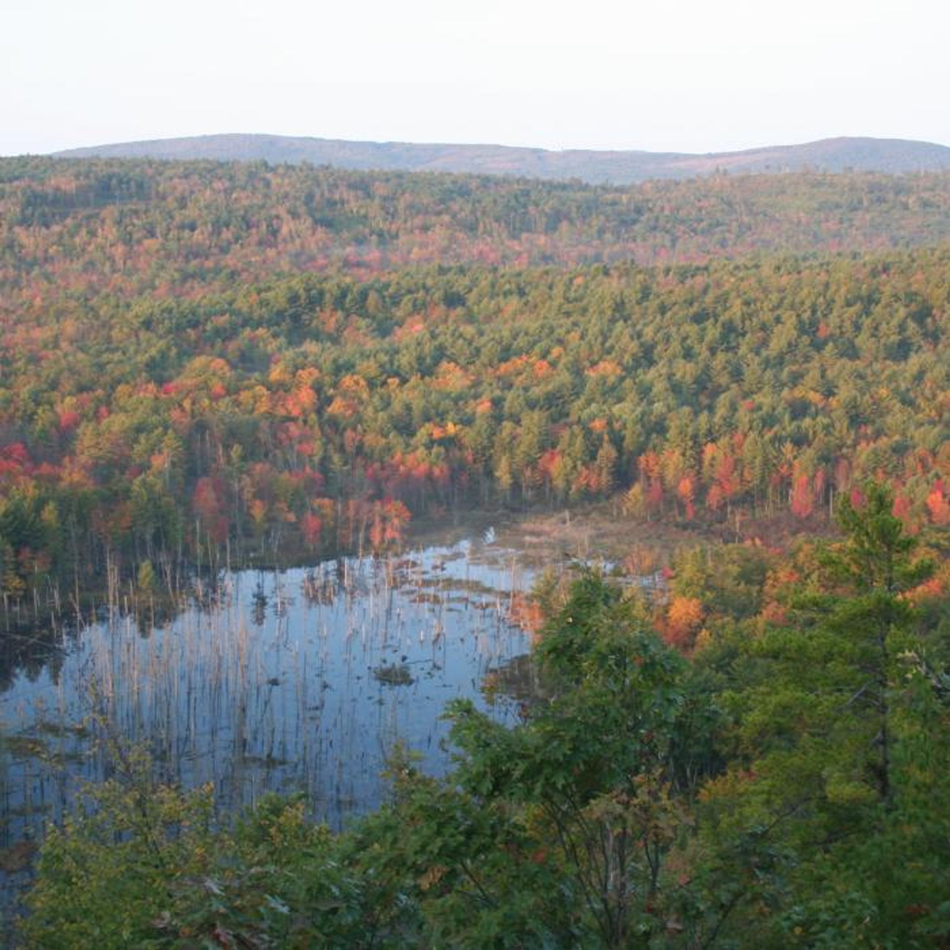 An autumn view of the water at Moose Mountains Reservation, surrounded by forest.