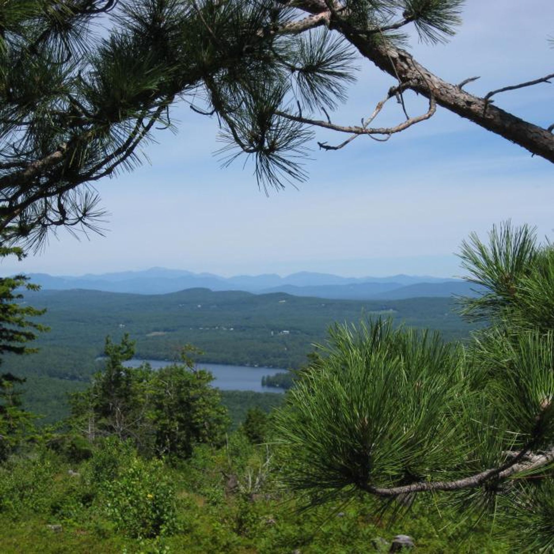 A view from Beauty Ledge of mountains and forests.