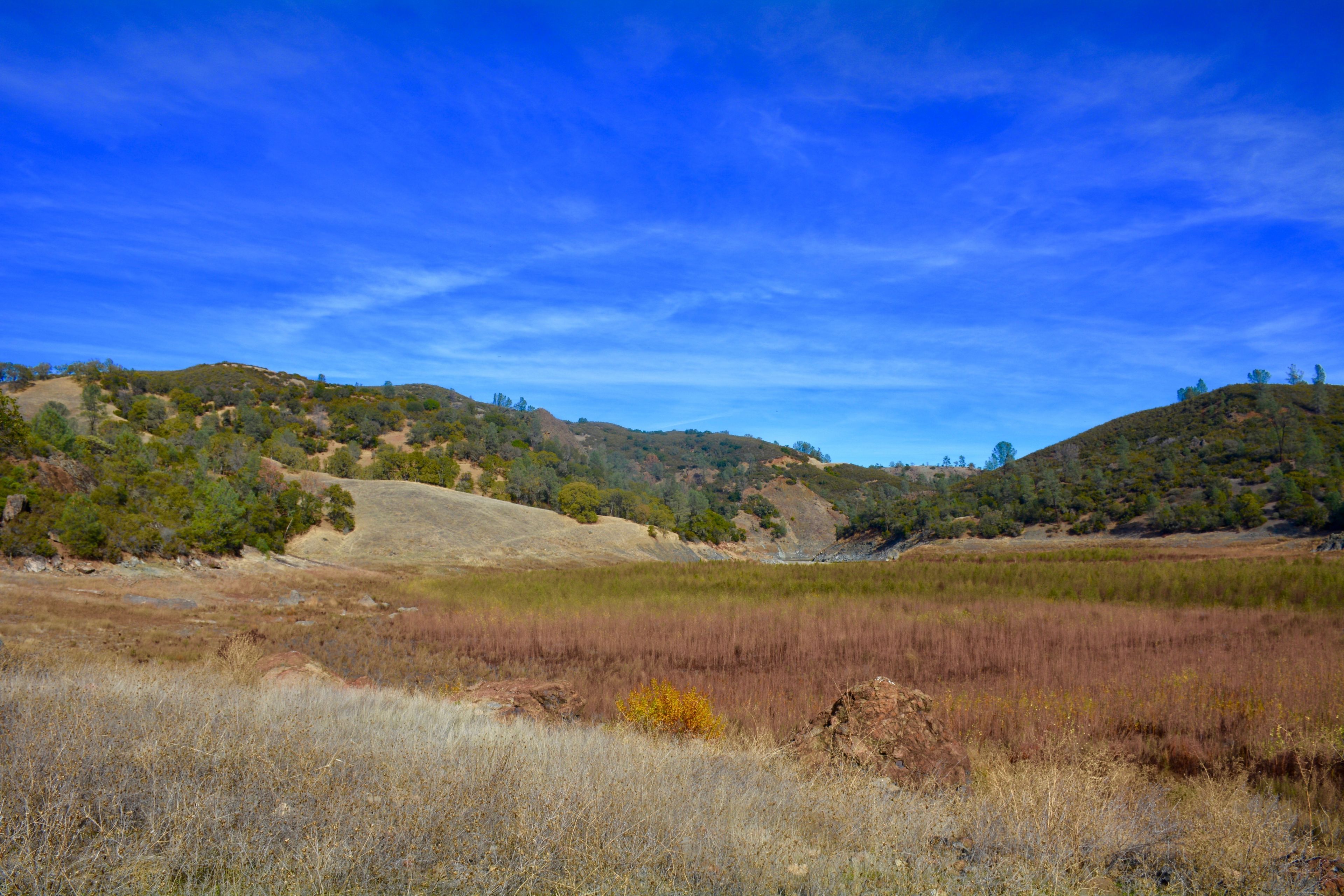 Old_Pope_Canyon_Trail_Wetland.jpg