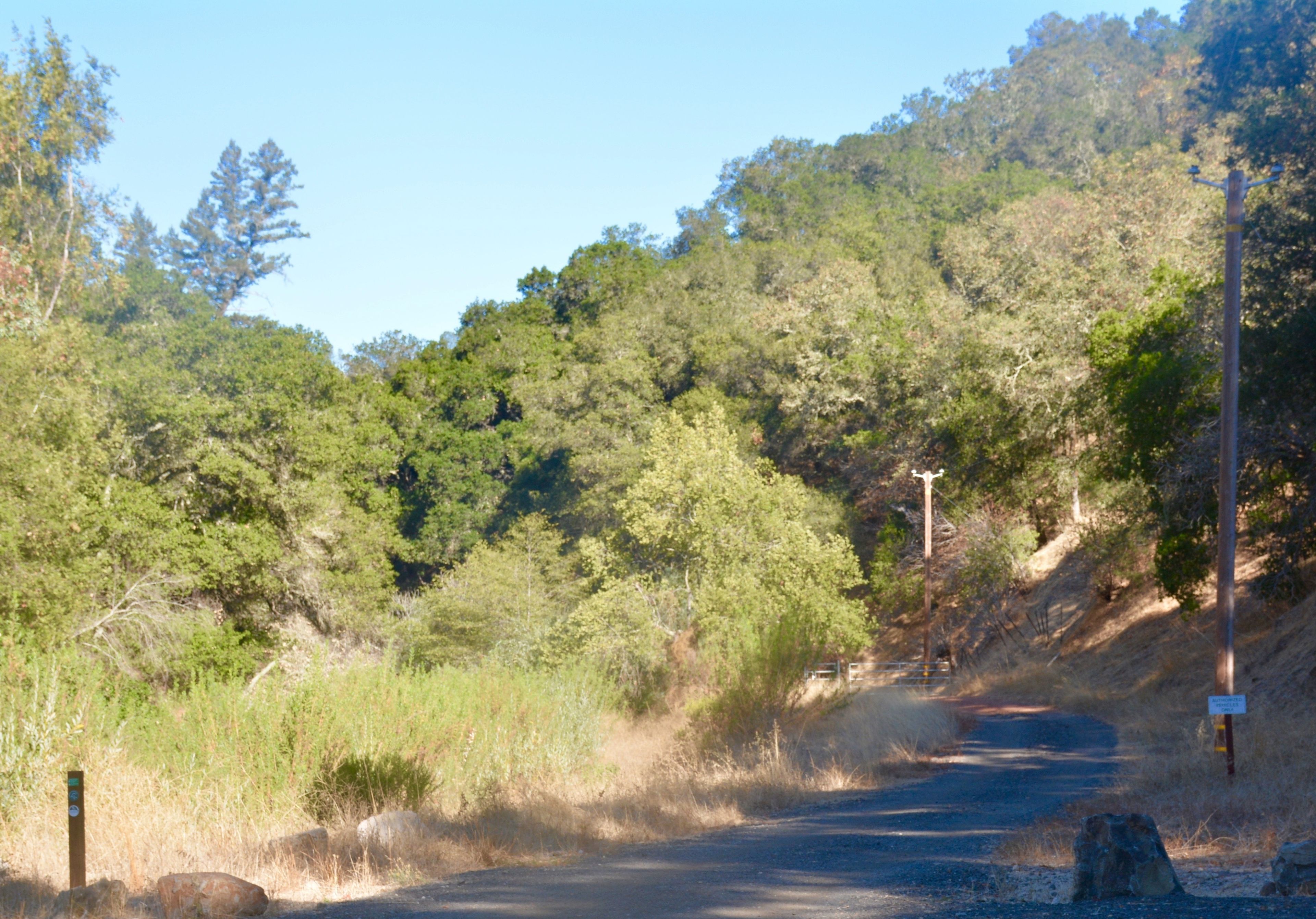 Moore_Creek_Trail_Head.jpg