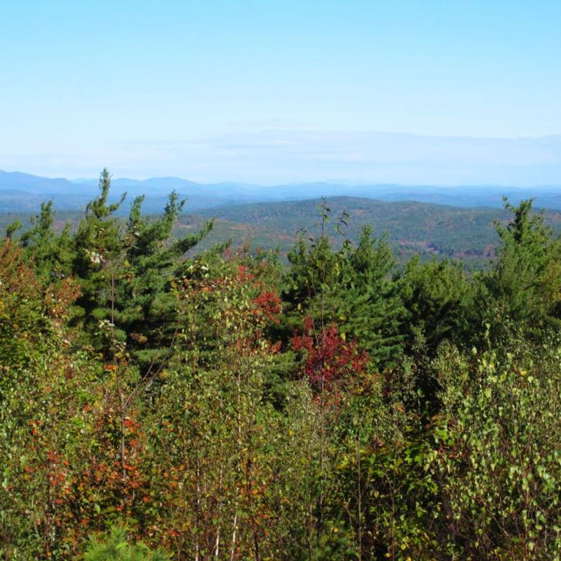 A view of the mountains beyond the forest.