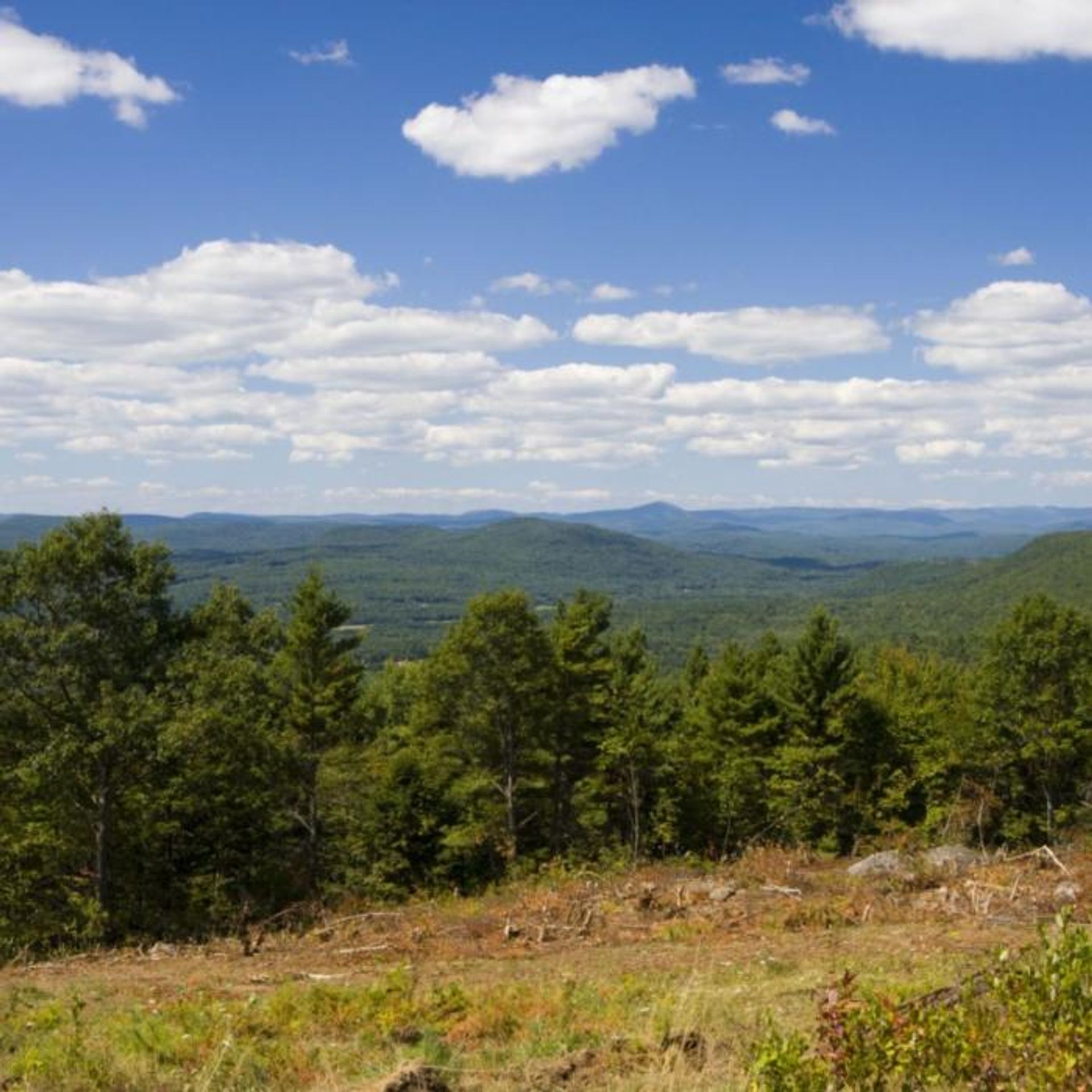 A view of the mountains above green forest.